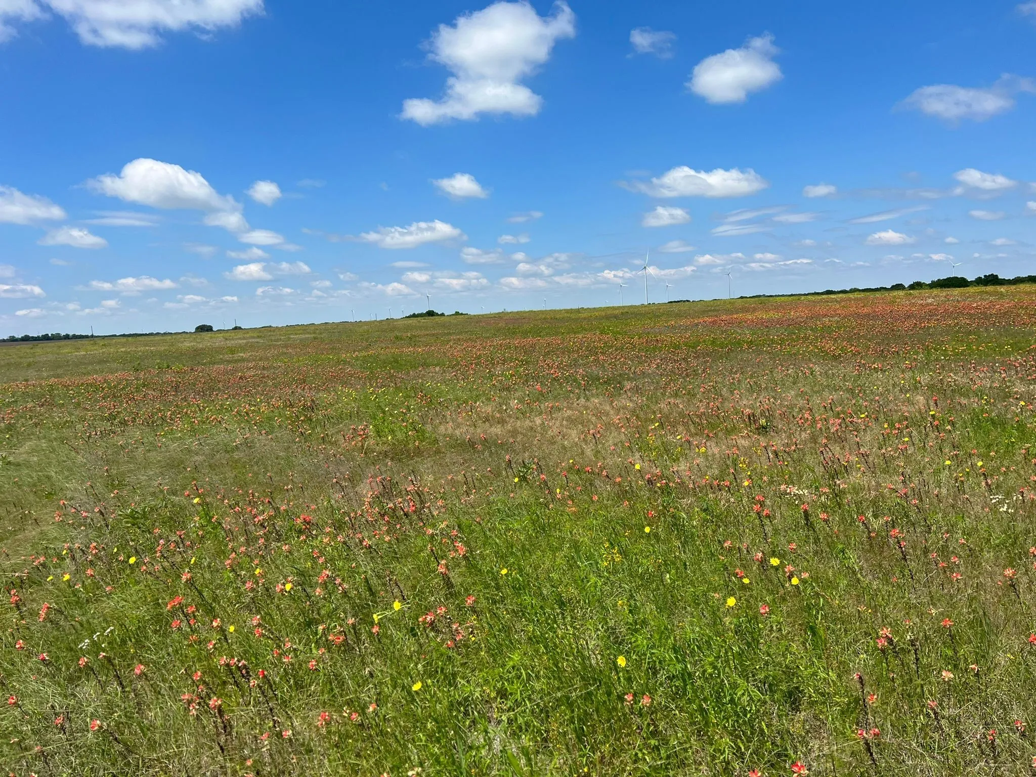 Unimproved Land For Sale in Hill County , TBD Hcr 3373, Hubbard, Texas 76648, 0, 0, Garage spaces, 0 Sqft, built in 0, Price $137,000, mls#20652291, Real Estate Agent in Hubbard, Homes For Sale in Hill county, Homes For Sale in Hubbard, Realtor in Hubbard Texas, Real Estate Brokerage Independent Realty Texas, Luminita Cordes Realtor