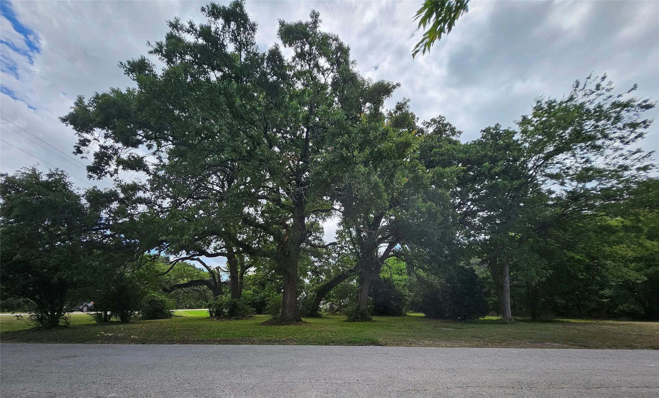 Unimproved Land For Sale in Hunt County , TBD Main Street, Quinlan, Texas 75474, 0, 0, Garage spaces, 0 Sqft, built in 0, Price $79,000, mls#20652775, Real Estate Agent in Quinlan, Homes For Sale in Hunt county, Homes For Sale in Quinlan, Realtor in Quinlan Texas, Real Estate Brokerage Independent Realty Texas, Luminita Cordes Realtor