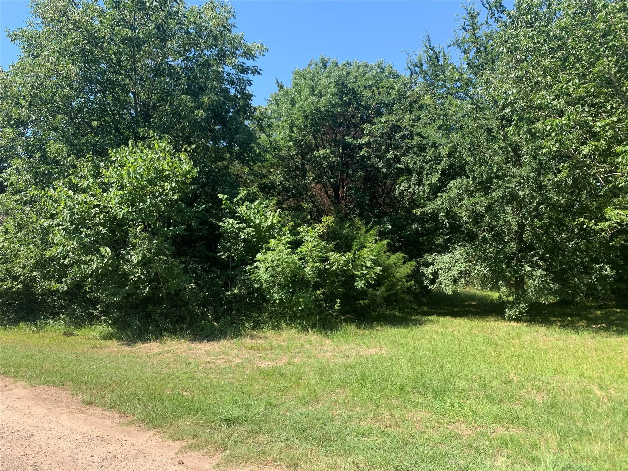 Unimproved Land For Sale in Van Zandt County , TBD VZ County Road 3718, Wills Point, Texas 75169, 0, 0, Garage spaces, 0 Sqft, built in 0, Price $60,000, mls#20637269, Real Estate Agent in Wills Point, Homes For Sale in Van Zandt county, Homes For Sale in Wills Point, Realtor in Wills Point Texas, Real Estate Brokerage Independent Realty Texas, Luminita Cordes Realtor