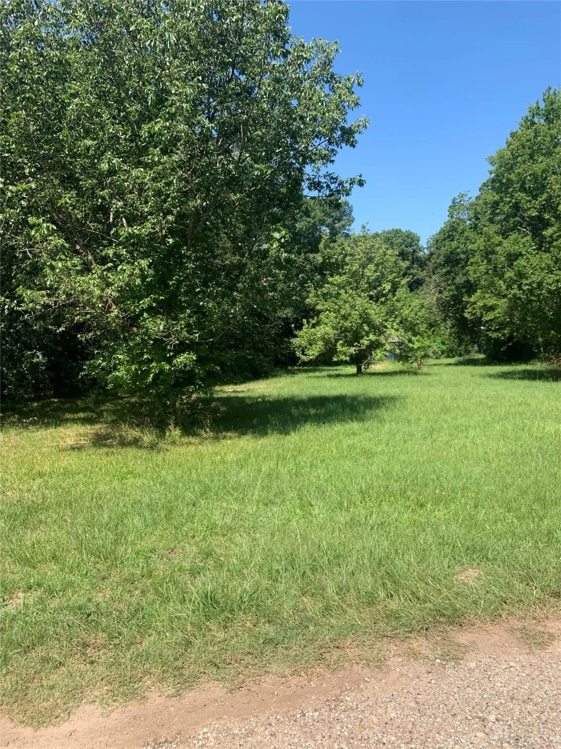 Unimproved Land For Sale in Van Zandt County , TBD VZ County Road 3718, Wills Point, Texas 75169, 0, 0, Garage spaces, 0 Sqft, built in 0, Price $60,000, mls#20637269, Real Estate Agent in Wills Point, Homes For Sale in Van Zandt county, Homes For Sale in Wills Point, Realtor in Wills Point Texas, Real Estate Brokerage Independent Realty Texas, Luminita Cordes Realtor