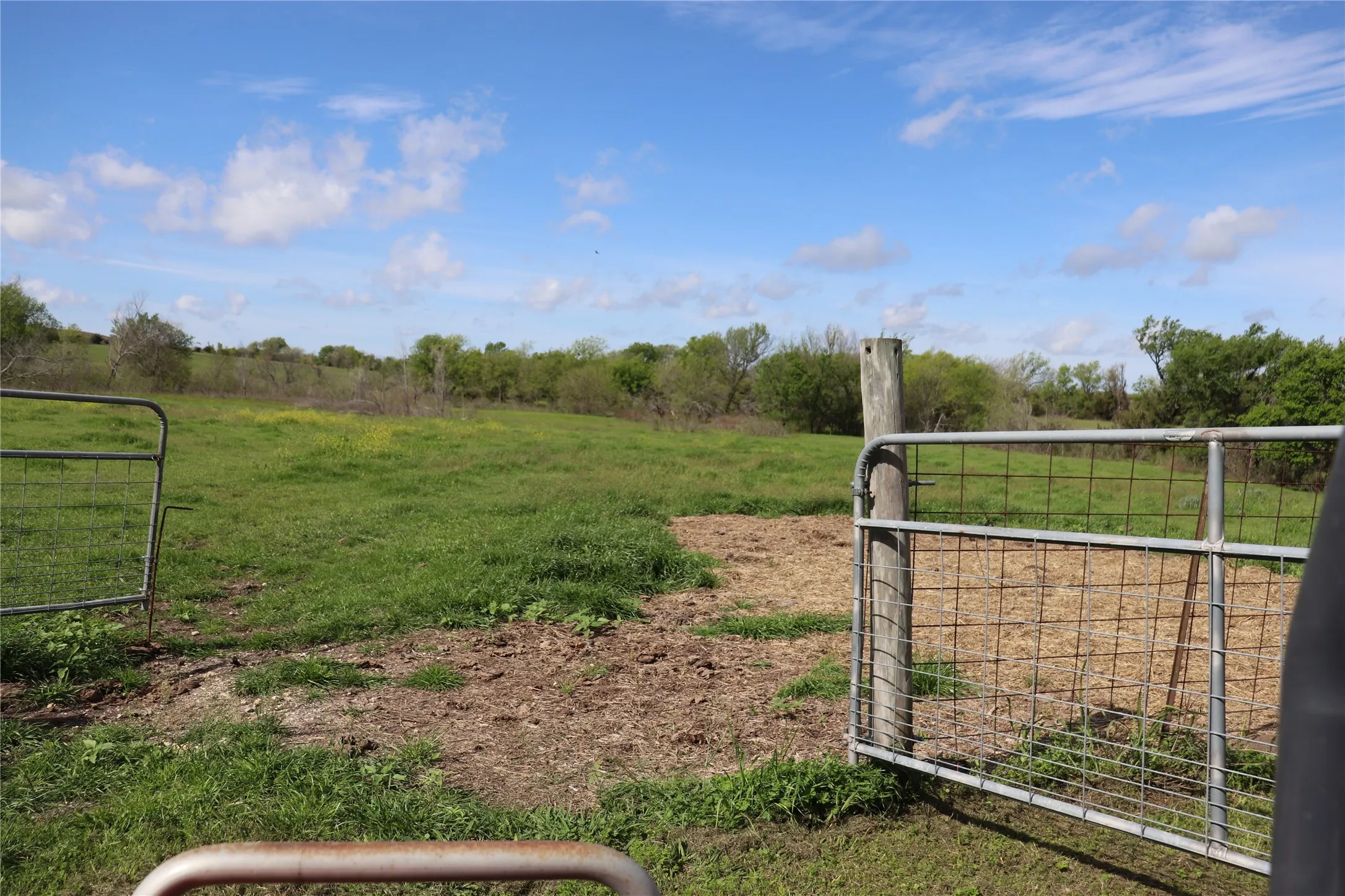 Unimproved Land For Sale in Johnson County , TBD County Road 1226, Cleburne, Texas 76033, 0, 0, Garage spaces, 0 Sqft, built in 0, mls#20655378, Real Estate Agent in Cleburne, Homes For Sale in Johnson county, Homes For Sale in Cleburne, Realtor in Cleburne Texas, Real Estate Brokerage Independent Realty Texas, Luminita Cordes Realtor