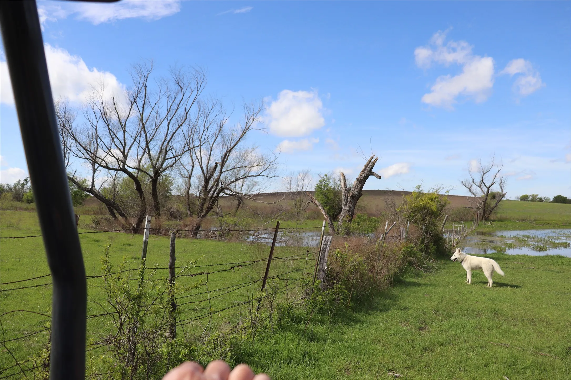 Unimproved Land For Sale in Johnson County , TBD County Road 1226, Cleburne, Texas 76033, 0, 0, Garage spaces, 0 Sqft, built in 0, mls#20655378, Real Estate Agent in Cleburne, Homes For Sale in Johnson county, Homes For Sale in Cleburne, Realtor in Cleburne Texas, Real Estate Brokerage Independent Realty Texas, Luminita Cordes Realtor