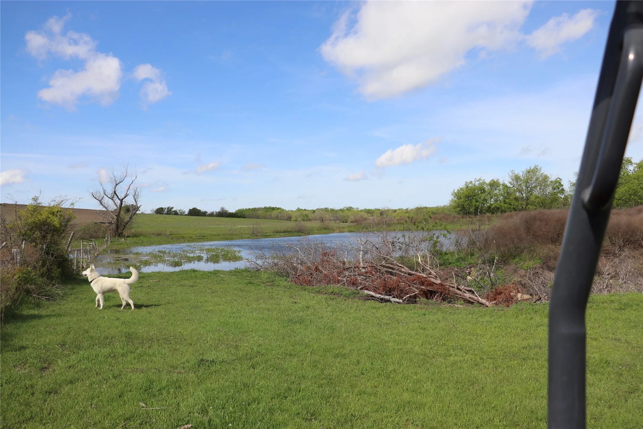 rural view