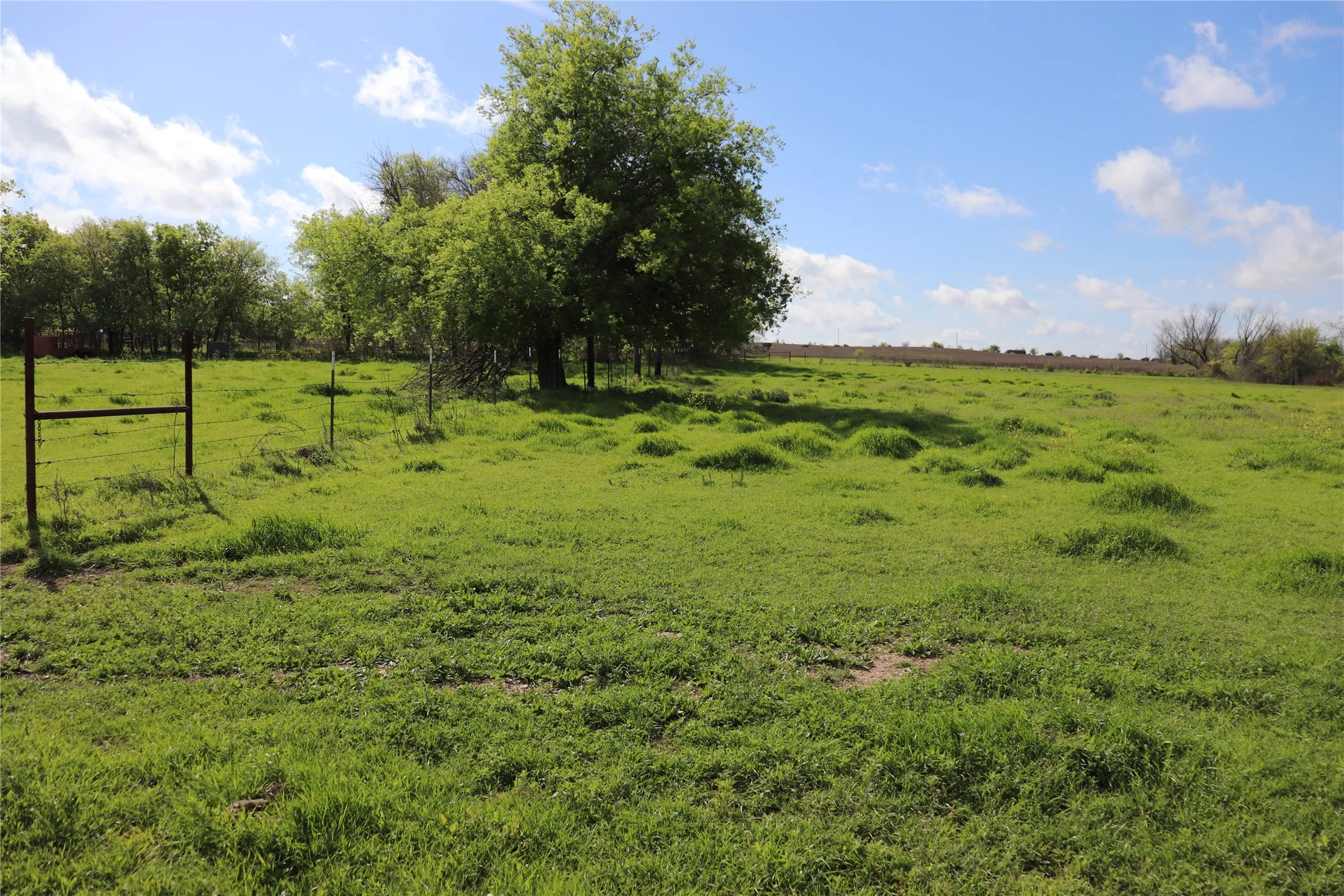 Unimproved Land For Sale in Johnson County , TBD County Road 1226, Cleburne, Texas 76033, 0, 0, Garage spaces, 0 Sqft, built in 0, mls#20655378, Real Estate Agent in Cleburne, Homes For Sale in Johnson county, Homes For Sale in Cleburne, Realtor in Cleburne Texas, Real Estate Brokerage Independent Realty Texas, Luminita Cordes Realtor