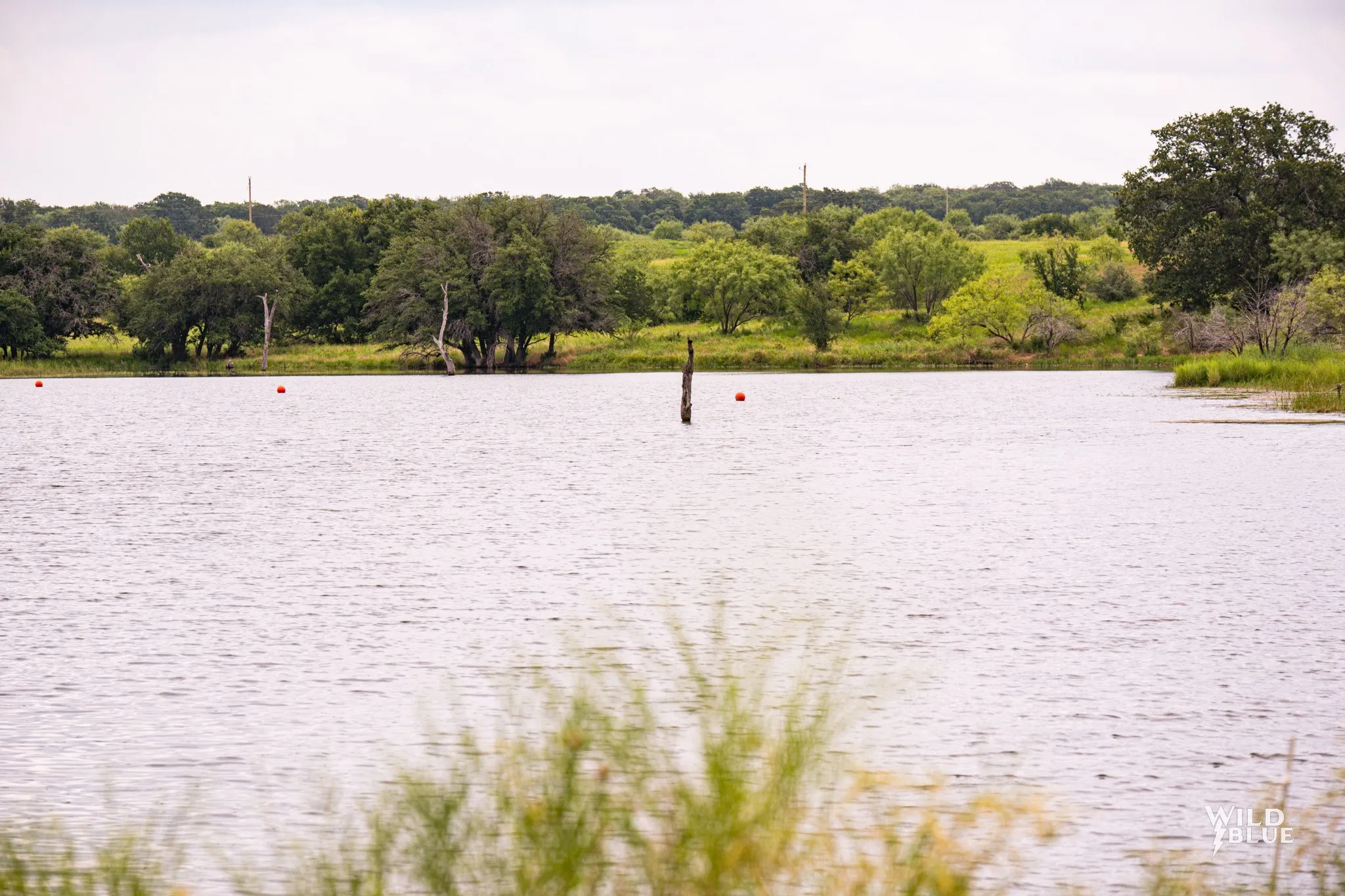 Unimproved Land For Sale in Palo Pinto County , 2170 River Shoals Road, Mineral Wells, Texas 76067, 0, 0, Garage spaces, 0 Sqft, built in 0, Price $359,000, mls#20657875, Real Estate Agent in Mineral Wells, Homes For Sale in Palo Pinto county, Homes For Sale in Mineral Wells, Realtor in Mineral Wells Texas, Real Estate Brokerage Independent Realty Texas, Luminita Cordes Realtor
