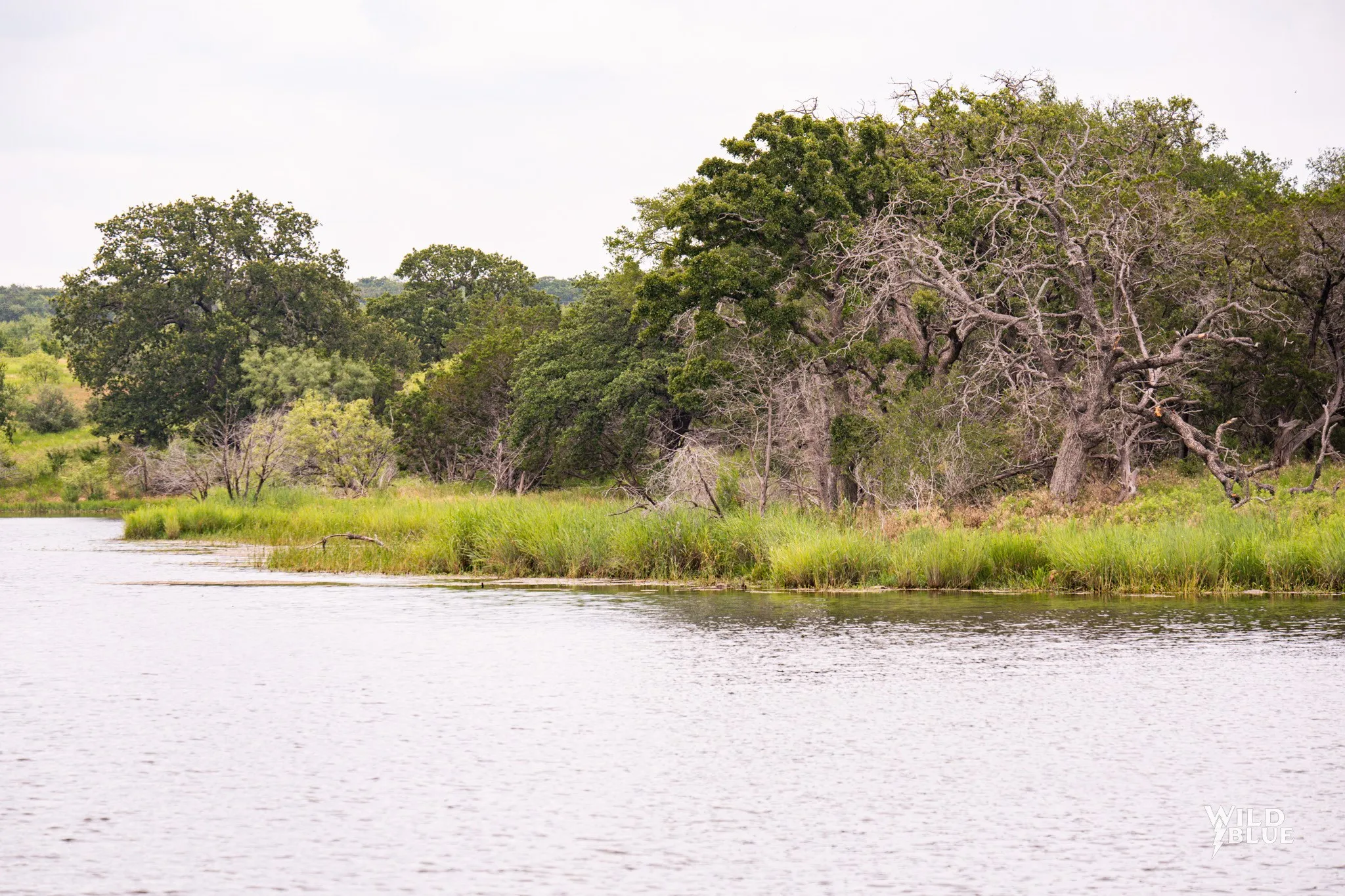 Unimproved Land For Sale in Palo Pinto County , 2170 River Shoals Road, Mineral Wells, Texas 76067, 0, 0, Garage spaces, 0 Sqft, built in 0, Price $359,000, mls#20657875, Real Estate Agent in Mineral Wells, Homes For Sale in Palo Pinto county, Homes For Sale in Mineral Wells, Realtor in Mineral Wells Texas, Real Estate Brokerage Independent Realty Texas, Luminita Cordes Realtor