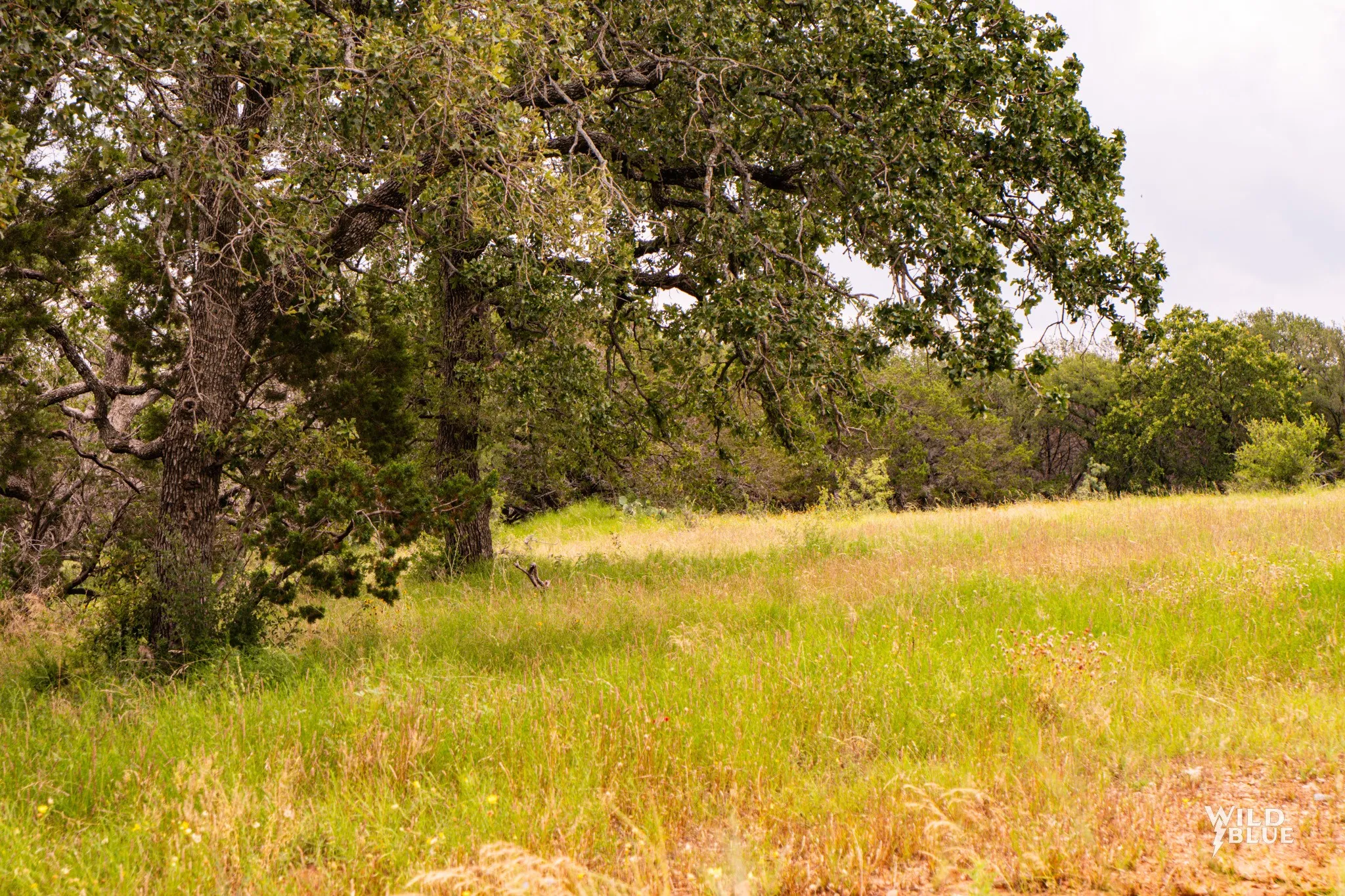 Unimproved Land For Sale in Palo Pinto County , 2170 River Shoals Road, Mineral Wells, Texas 76067, 0, 0, Garage spaces, 0 Sqft, built in 0, Price $359,000, mls#20657875, Real Estate Agent in Mineral Wells, Homes For Sale in Palo Pinto county, Homes For Sale in Mineral Wells, Realtor in Mineral Wells Texas, Real Estate Brokerage Independent Realty Texas, Luminita Cordes Realtor