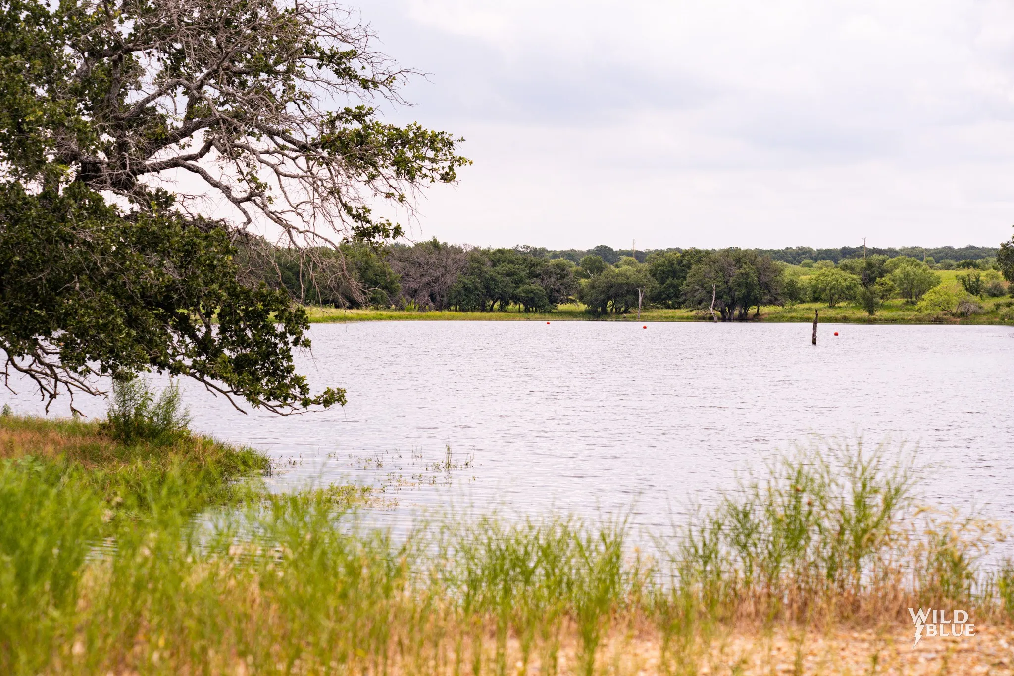 Unimproved Land For Sale in Palo Pinto County , 2170 River Shoals Road, Mineral Wells, Texas 76067, 0, 0, Garage spaces, 0 Sqft, built in 0, Price $359,000, mls#20657875, Real Estate Agent in Mineral Wells, Homes For Sale in Palo Pinto county, Homes For Sale in Mineral Wells, Realtor in Mineral Wells Texas, Real Estate Brokerage Independent Realty Texas, Luminita Cordes Realtor