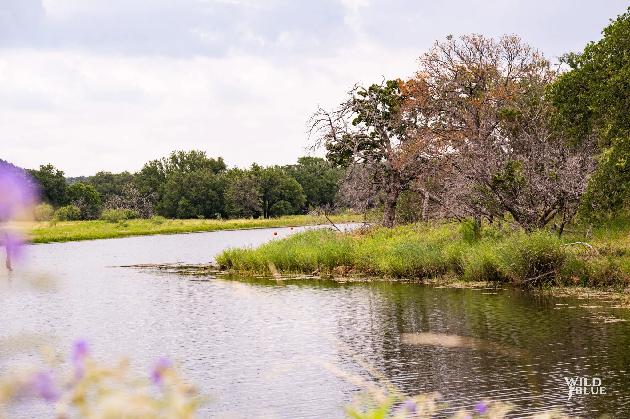 Unimproved Land For Sale in Palo Pinto County , 2170 River Shoals Road, Mineral Wells, Texas 76067, 0, 0, Garage spaces, 0 Sqft, built in 0, Price $359,000, mls#20657875, Real Estate Agent in Mineral Wells, Homes For Sale in Palo Pinto county, Homes For Sale in Mineral Wells, Realtor in Mineral Wells Texas, Real Estate Brokerage Independent Realty Texas, Luminita Cordes Realtor