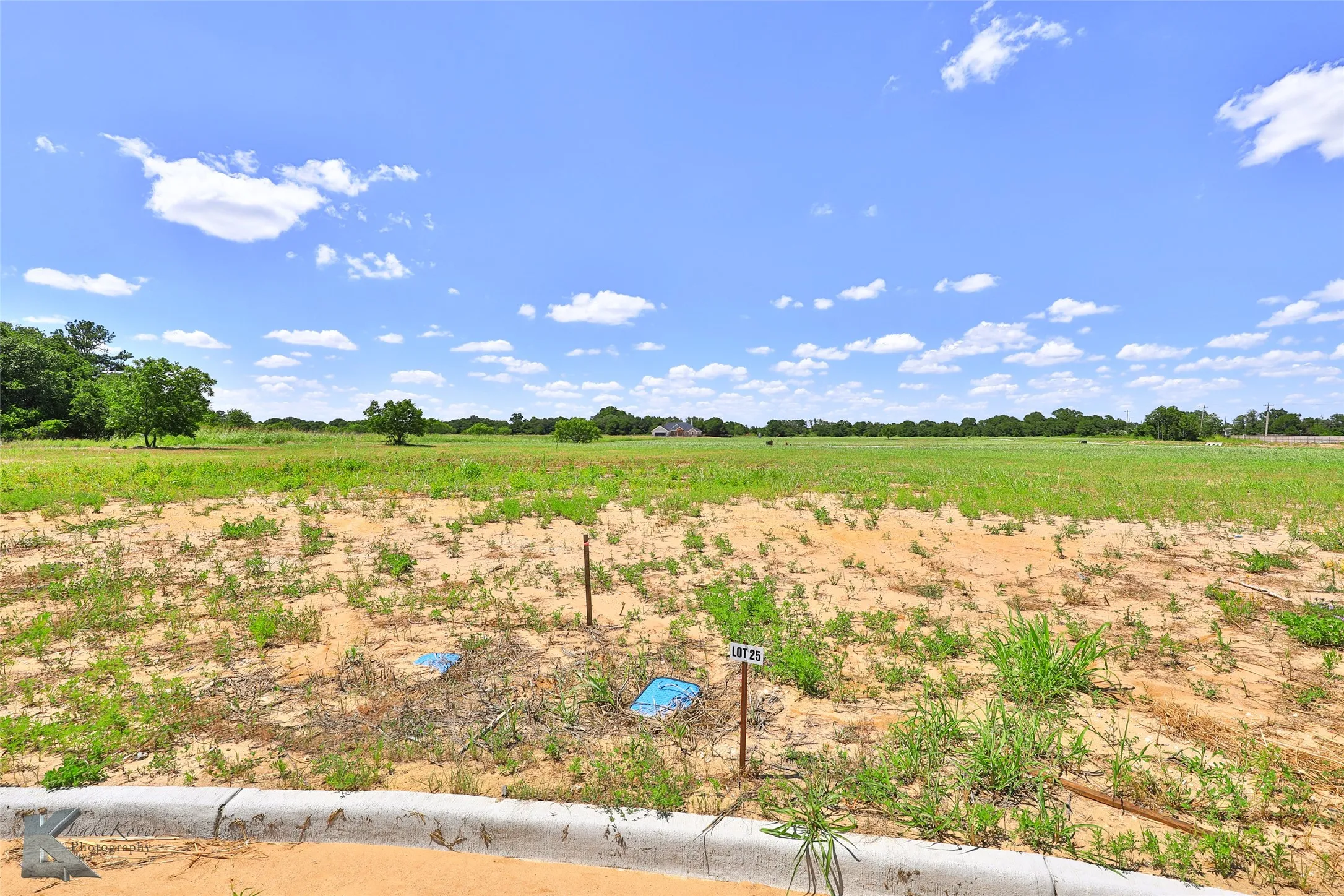 View of yard with a rural view