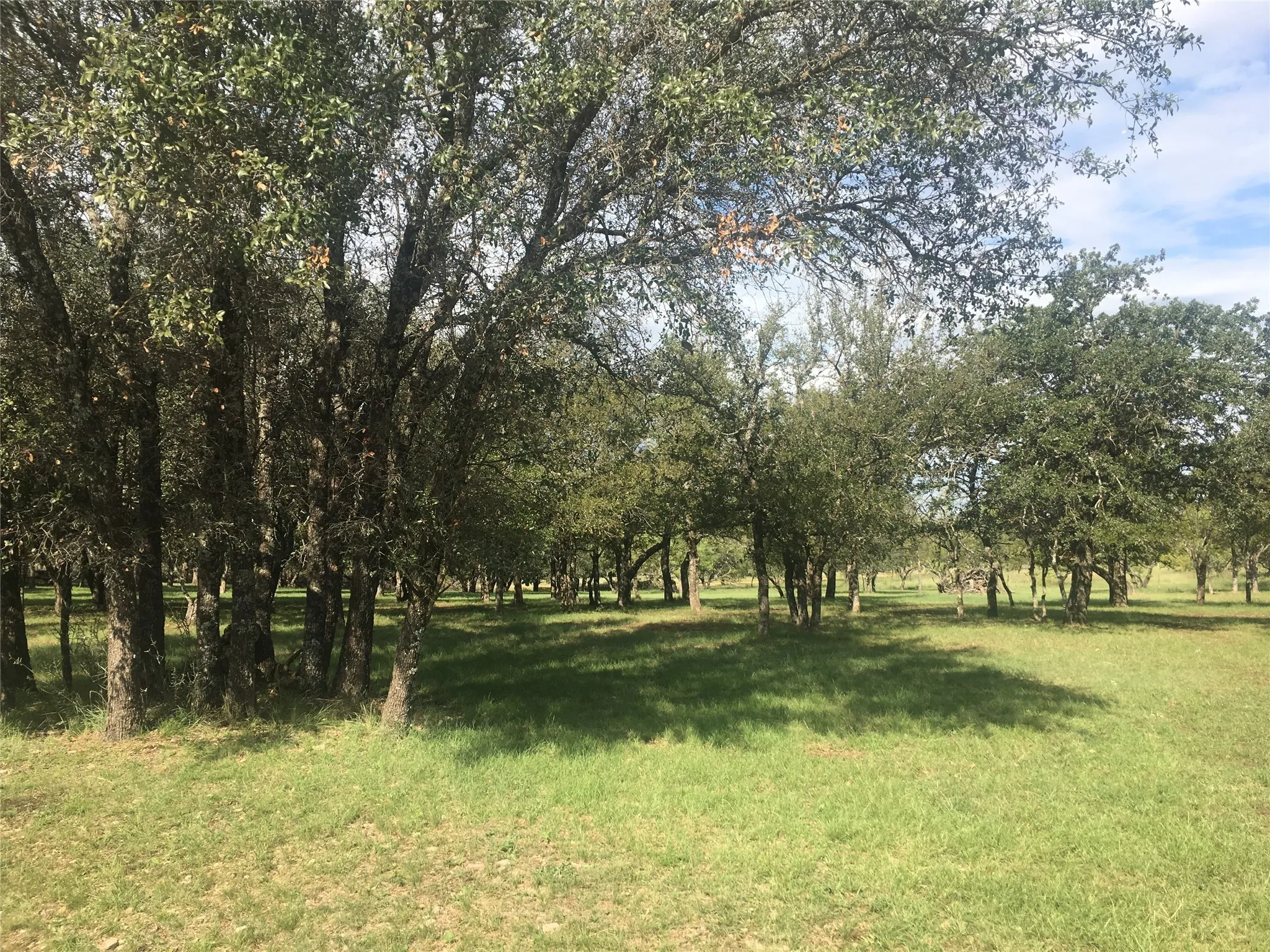 Unimproved Land For Sale in Brown County , Lot 1074 Oak Point Drive, May, Texas 76857, 0, 0, Garage spaces, 0 Sqft, built in 0, Price $60,000, mls#20668123, Real Estate Agent in May, Homes For Sale in Brown county, Homes For Sale in May, Realtor in May Texas, Real Estate Brokerage Independent Realty Texas, Luminita Cordes Realtor