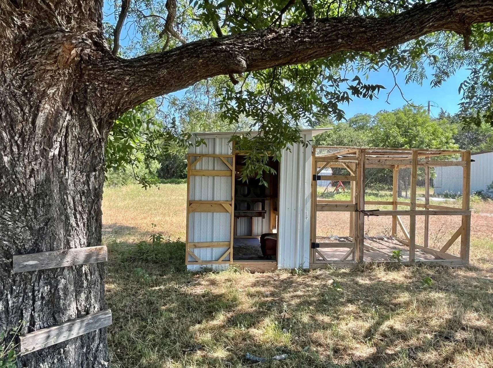 chicken coop