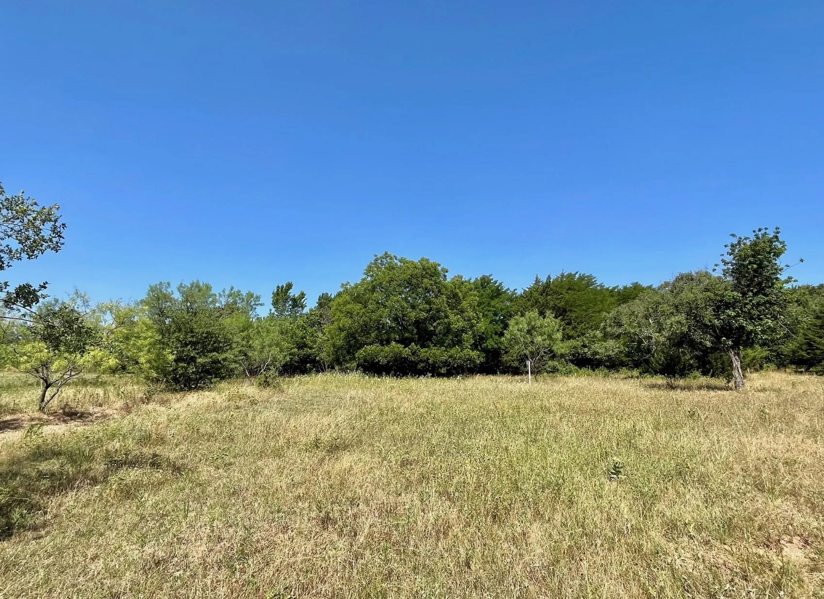 View of nature featuring a rural view
