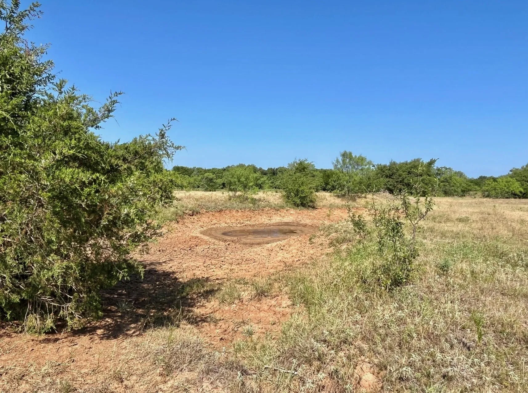 View of local wilderness with a rural view