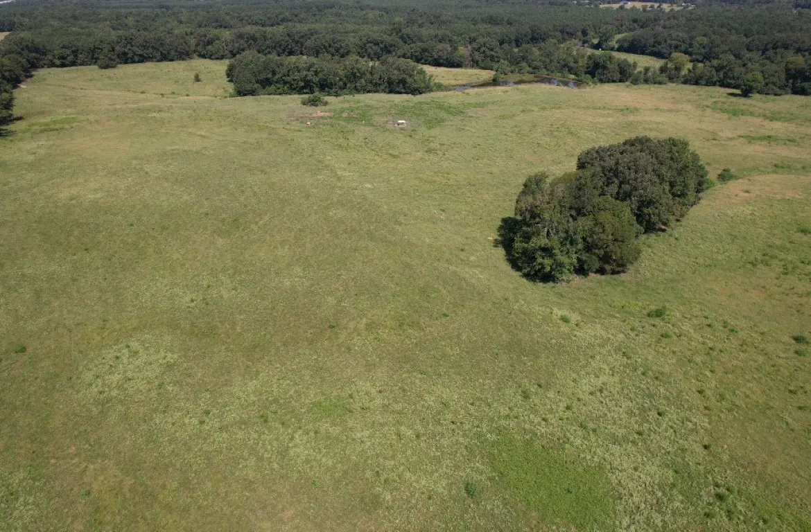Unimproved Land For Sale in Shelby County , TBD-B CR 4037, Timpson, Texas 75975, 0, 0, Garage spaces, 0 Sqft, built in 0, mls#20676361, Real Estate Agent in Timpson, Homes For Sale in Shelby county, Homes For Sale in Timpson, Realtor in Timpson Texas, Real Estate Brokerage Independent Realty Texas, Luminita Cordes Realtor