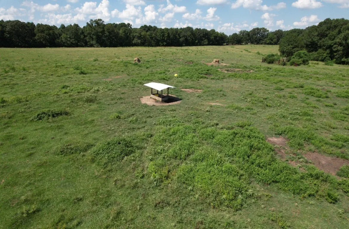 Unimproved Land For Sale in Shelby County , TBD-B CR 4037, Timpson, Texas 75975, 0, 0, Garage spaces, 0 Sqft, built in 0, mls#20676361, Real Estate Agent in Timpson, Homes For Sale in Shelby county, Homes For Sale in Timpson, Realtor in Timpson Texas, Real Estate Brokerage Independent Realty Texas, Luminita Cordes Realtor