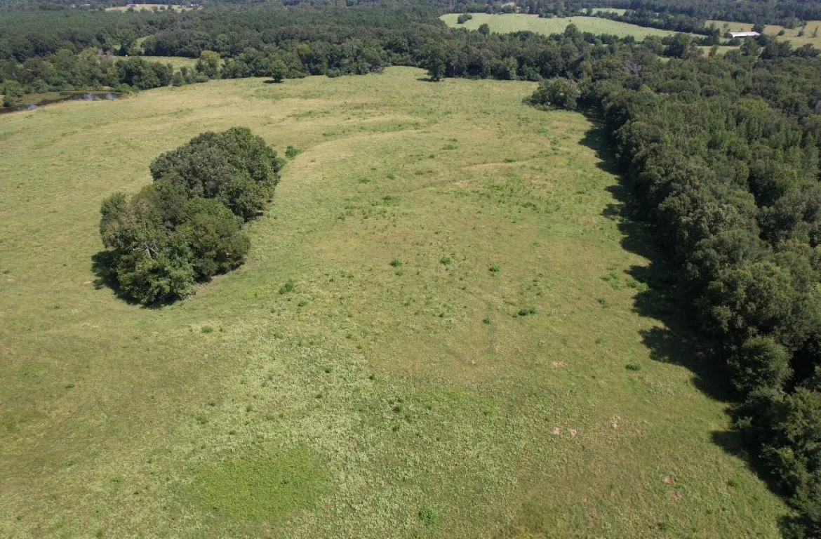 Unimproved Land For Sale in Shelby County , TBD-B CR 4037, Timpson, Texas 75975, 0, 0, Garage spaces, 0 Sqft, built in 0, mls#20676361, Real Estate Agent in Timpson, Homes For Sale in Shelby county, Homes For Sale in Timpson, Realtor in Timpson Texas, Real Estate Brokerage Independent Realty Texas, Luminita Cordes Realtor