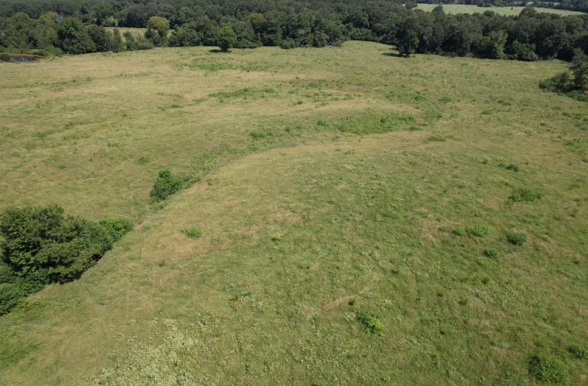 Unimproved Land For Sale in Shelby County , TBD-B CR 4037, Timpson, Texas 75975, 0, 0, Garage spaces, 0 Sqft, built in 0, mls#20676361, Real Estate Agent in Timpson, Homes For Sale in Shelby county, Homes For Sale in Timpson, Realtor in Timpson Texas, Real Estate Brokerage Independent Realty Texas, Luminita Cordes Realtor