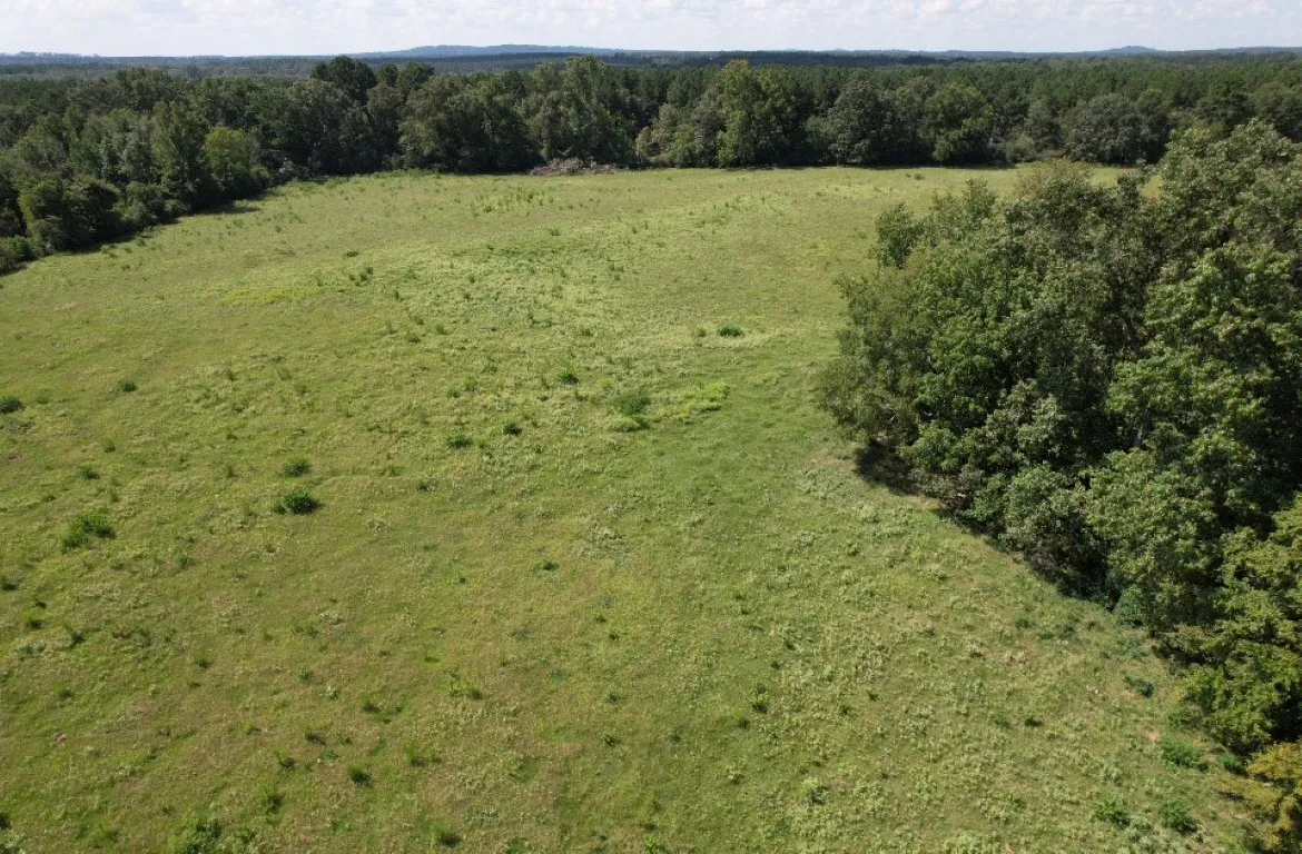 Unimproved Land For Sale in Shelby County , TBD-B CR 4037, Timpson, Texas 75975, 0, 0, Garage spaces, 0 Sqft, built in 0, mls#20676361, Real Estate Agent in Timpson, Homes For Sale in Shelby county, Homes For Sale in Timpson, Realtor in Timpson Texas, Real Estate Brokerage Independent Realty Texas, Luminita Cordes Realtor