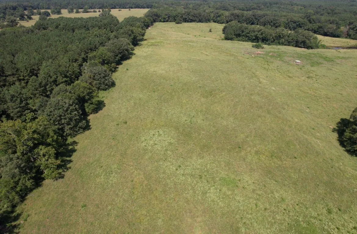 Unimproved Land For Sale in Shelby County , TBD-B CR 4037, Timpson, Texas 75975, 0, 0, Garage spaces, 0 Sqft, built in 0, mls#20676361, Real Estate Agent in Timpson, Homes For Sale in Shelby county, Homes For Sale in Timpson, Realtor in Timpson Texas, Real Estate Brokerage Independent Realty Texas, Luminita Cordes Realtor