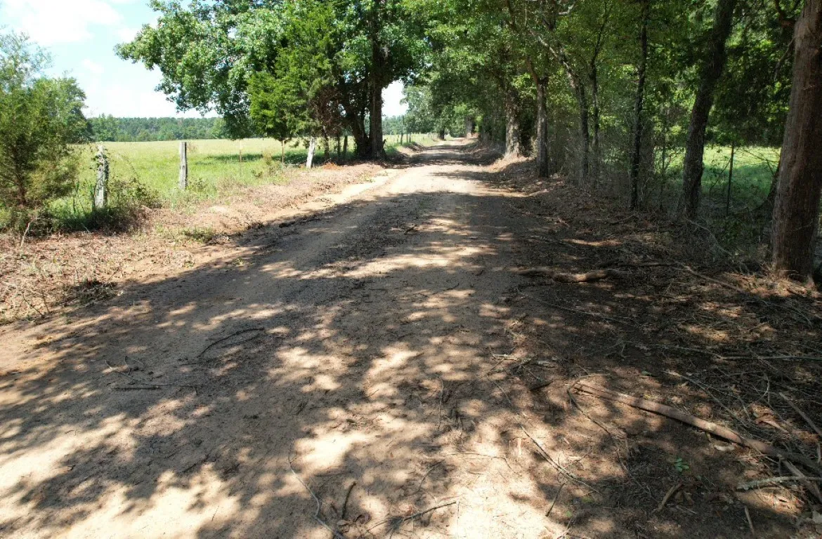 Unimproved Land For Sale in Shelby County , TBD-B CR 4037, Timpson, Texas 75975, 0, 0, Garage spaces, 0 Sqft, built in 0, mls#20676361, Real Estate Agent in Timpson, Homes For Sale in Shelby county, Homes For Sale in Timpson, Realtor in Timpson Texas, Real Estate Brokerage Independent Realty Texas, Luminita Cordes Realtor