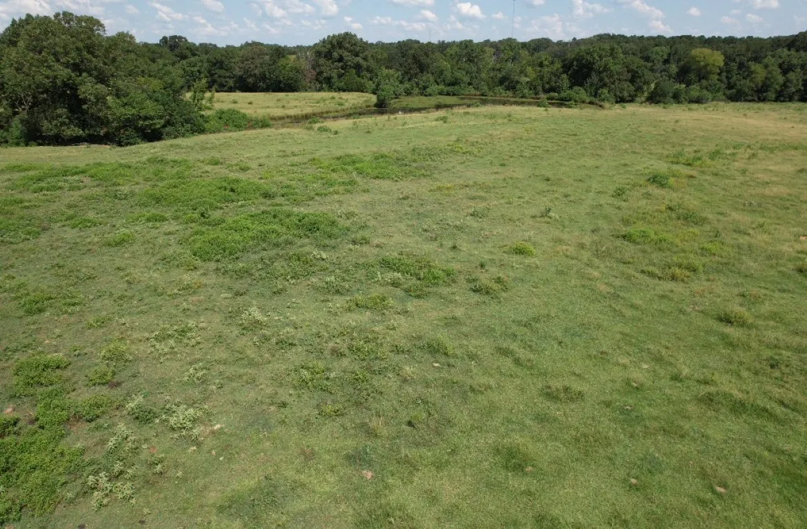 Unimproved Land For Sale in Shelby County , TBD-B CR 4037, Timpson, Texas 75975, 0, 0, Garage spaces, 0 Sqft, built in 0, mls#20676361, Real Estate Agent in Timpson, Homes For Sale in Shelby county, Homes For Sale in Timpson, Realtor in Timpson Texas, Real Estate Brokerage Independent Realty Texas, Luminita Cordes Realtor