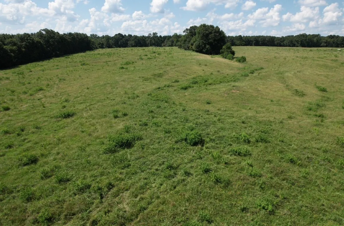 Unimproved Land For Sale in Shelby County , TBD-B CR 4037, Timpson, Texas 75975, 0, 0, Garage spaces, 0 Sqft, built in 0, mls#20676361, Real Estate Agent in Timpson, Homes For Sale in Shelby county, Homes For Sale in Timpson, Realtor in Timpson Texas, Real Estate Brokerage Independent Realty Texas, Luminita Cordes Realtor