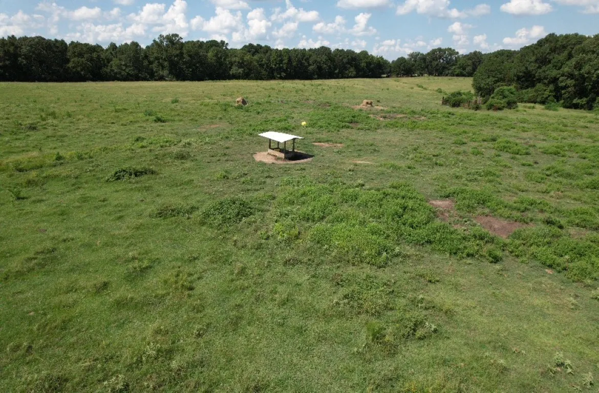 Unimproved Land For Sale in Shelby County , TBD-B CR 4037, Timpson, Texas 75975, 0, 0, Garage spaces, 0 Sqft, built in 0, mls#20676361, Real Estate Agent in Timpson, Homes For Sale in Shelby county, Homes For Sale in Timpson, Realtor in Timpson Texas, Real Estate Brokerage Independent Realty Texas, Luminita Cordes Realtor