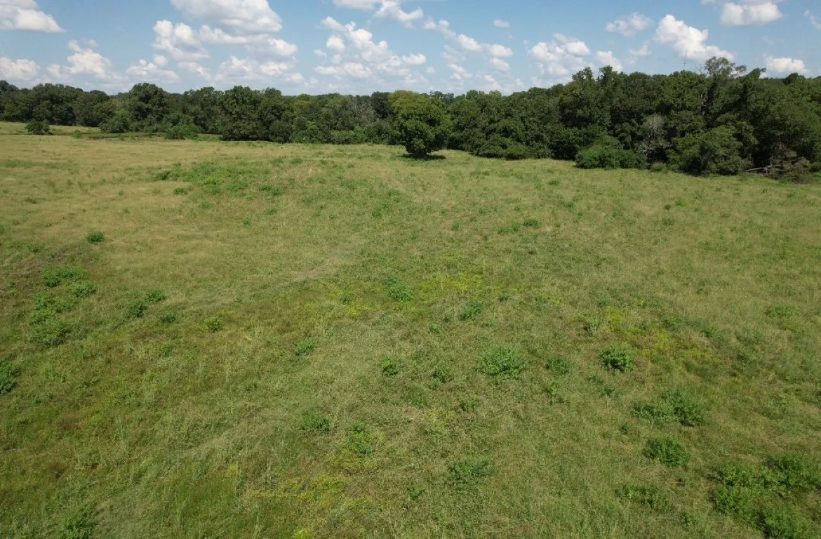 Unimproved Land For Sale in Shelby County , TBD-B CR 4037, Timpson, Texas 75975, 0, 0, Garage spaces, 0 Sqft, built in 0, mls#20676361, Real Estate Agent in Timpson, Homes For Sale in Shelby county, Homes For Sale in Timpson, Realtor in Timpson Texas, Real Estate Brokerage Independent Realty Texas, Luminita Cordes Realtor