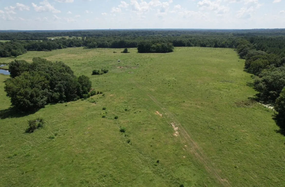 Unimproved Land For Sale in Shelby County , TBD-B CR 4037, Timpson, Texas 75975, 0, 0, Garage spaces, 0 Sqft, built in 0, mls#20676361, Real Estate Agent in Timpson, Homes For Sale in Shelby county, Homes For Sale in Timpson, Realtor in Timpson Texas, Real Estate Brokerage Independent Realty Texas, Luminita Cordes Realtor