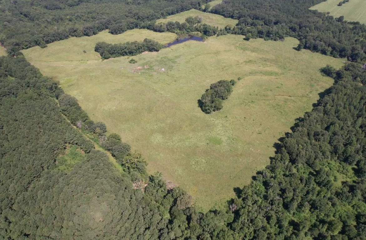 Unimproved Land For Sale in Shelby County , TBD-B CR 4037, Timpson, Texas 75975, 0, 0, Garage spaces, 0 Sqft, built in 0, mls#20676361, Real Estate Agent in Timpson, Homes For Sale in Shelby county, Homes For Sale in Timpson, Realtor in Timpson Texas, Real Estate Brokerage Independent Realty Texas, Luminita Cordes Realtor