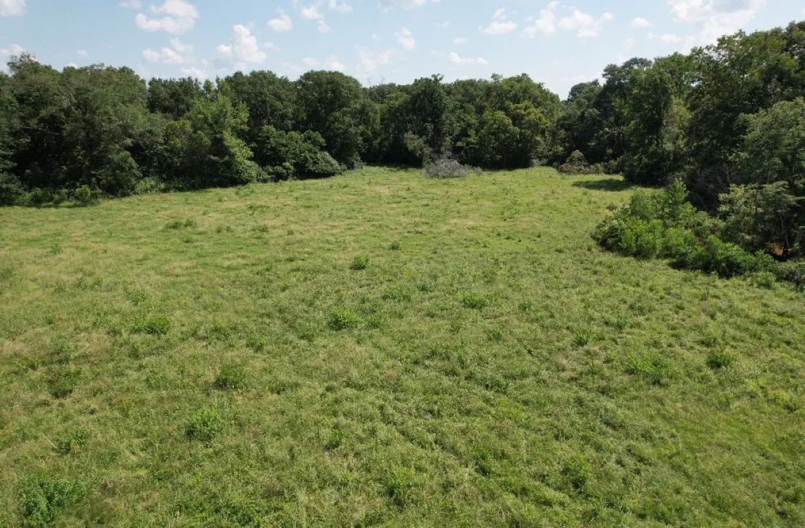 Unimproved Land For Sale in Shelby County , TBD-B CR 4037, Timpson, Texas 75975, 0, 0, Garage spaces, 0 Sqft, built in 0, mls#20676361, Real Estate Agent in Timpson, Homes For Sale in Shelby county, Homes For Sale in Timpson, Realtor in Timpson Texas, Real Estate Brokerage Independent Realty Texas, Luminita Cordes Realtor