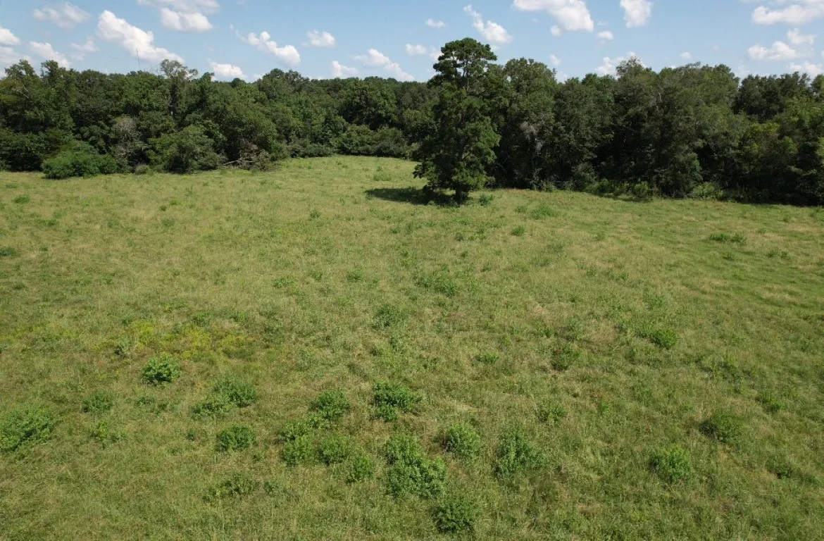 Unimproved Land For Sale in Shelby County , TBD-B CR 4037, Timpson, Texas 75975, 0, 0, Garage spaces, 0 Sqft, built in 0, mls#20676361, Real Estate Agent in Timpson, Homes For Sale in Shelby county, Homes For Sale in Timpson, Realtor in Timpson Texas, Real Estate Brokerage Independent Realty Texas, Luminita Cordes Realtor