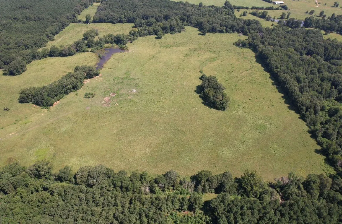 Unimproved Land For Sale in Shelby County , TBD-B CR 4037, Timpson, Texas 75975, 0, 0, Garage spaces, 0 Sqft, built in 0, mls#20676361, Real Estate Agent in Timpson, Homes For Sale in Shelby county, Homes For Sale in Timpson, Realtor in Timpson Texas, Real Estate Brokerage Independent Realty Texas, Luminita Cordes Realtor