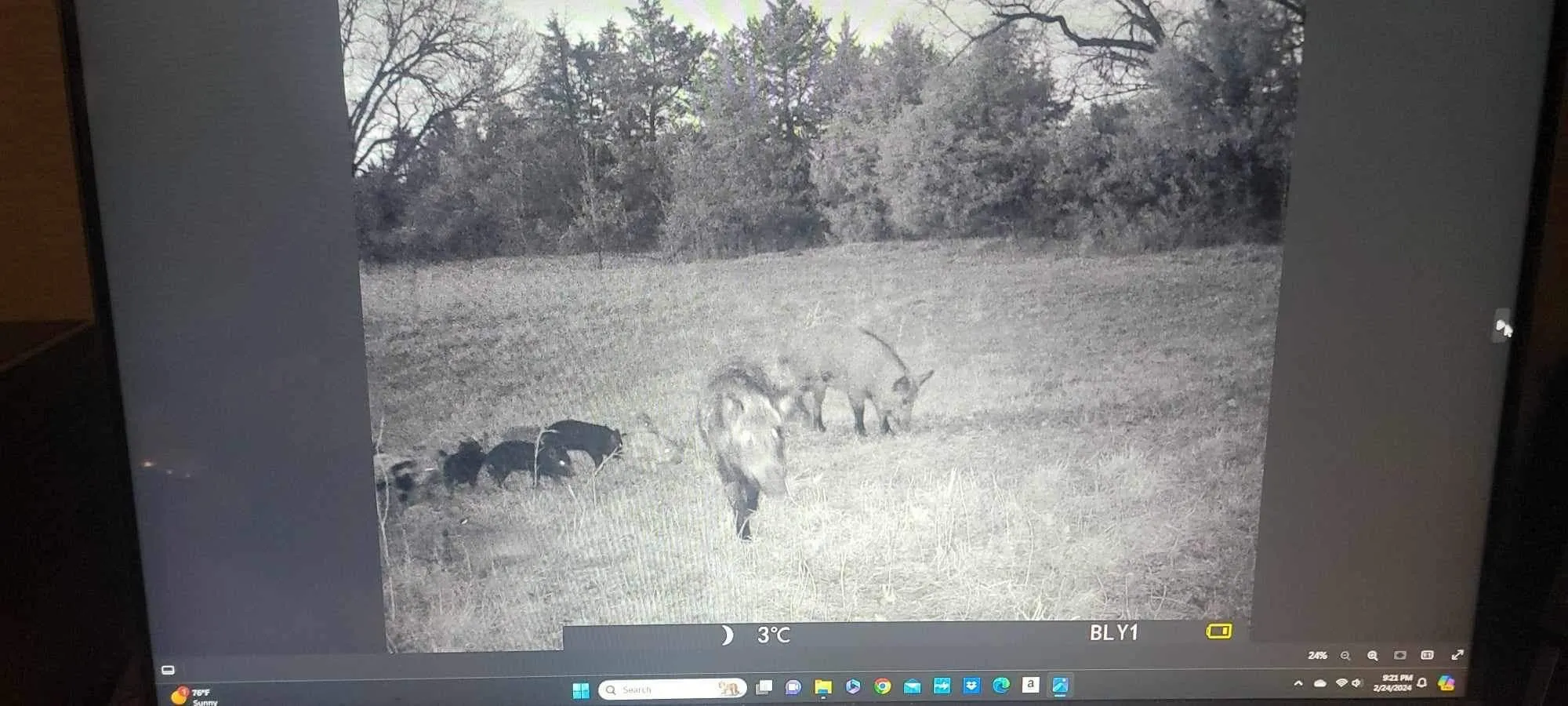 Unimproved Land For Sale in Grayson County , 3285 Roland Road, Whitesboro, Texas 76273, 0, 0, Garage spaces, 0 Sqft, built in 0, Price $1,700,000, mls#20677803, Real Estate Agent in Whitesboro, Homes For Sale in Grayson county, Homes For Sale in Whitesboro, Realtor in Whitesboro Texas, Real Estate Brokerage Independent Realty Texas, Luminita Cordes Realtor