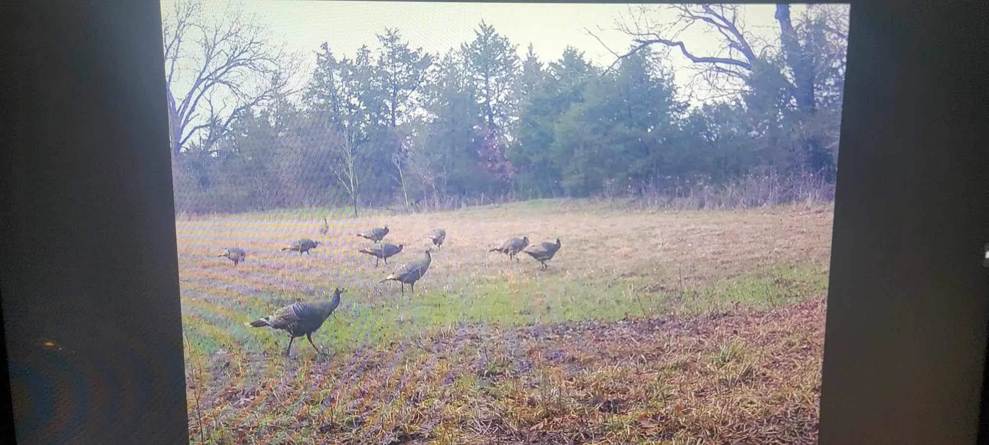Unimproved Land For Sale in Grayson County , 3285 Roland Road, Whitesboro, Texas 76273, 0, 0, Garage spaces, 0 Sqft, built in 0, Price $1,700,000, mls#20677803, Real Estate Agent in Whitesboro, Homes For Sale in Grayson county, Homes For Sale in Whitesboro, Realtor in Whitesboro Texas, Real Estate Brokerage Independent Realty Texas, Luminita Cordes Realtor
