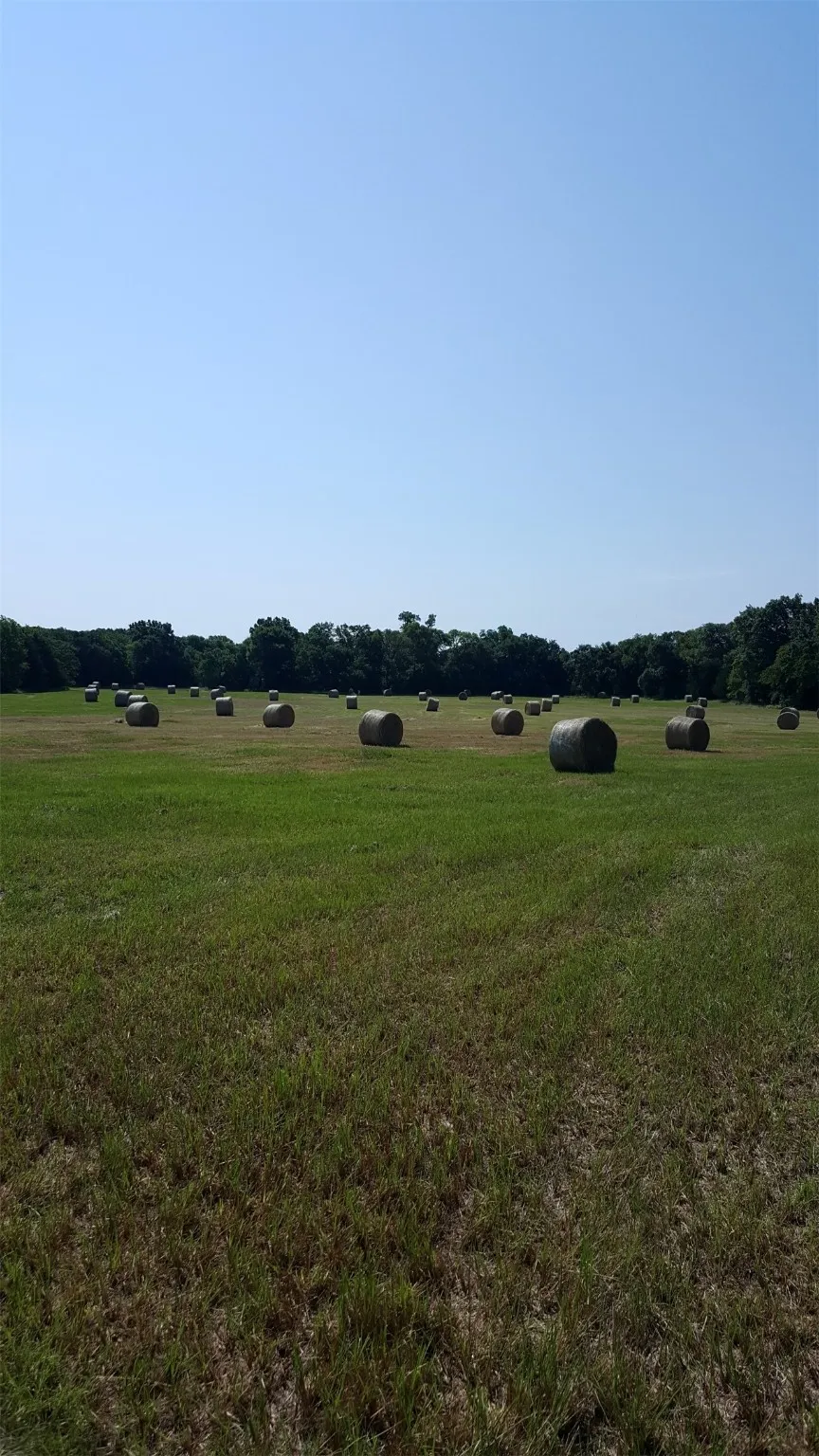 Unimproved Land For Sale in Grayson County , 3285 Roland Road, Whitesboro, Texas 76273, 0, 0, Garage spaces, 0 Sqft, built in 0, Price $1,700,000, mls#20677803, Real Estate Agent in Whitesboro, Homes For Sale in Grayson county, Homes For Sale in Whitesboro, Realtor in Whitesboro Texas, Real Estate Brokerage Independent Realty Texas, Luminita Cordes Realtor