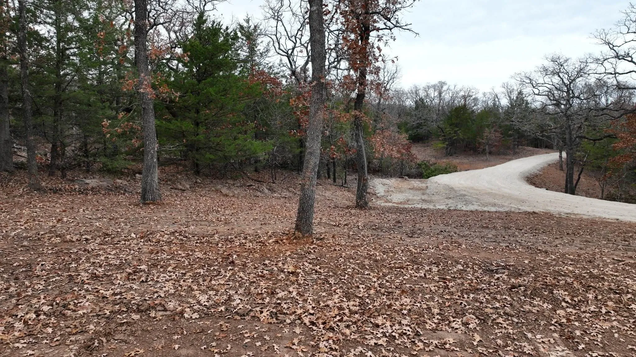 Unimproved Land For Sale in Cooke County , 208 Red Top Road, Valley View, Texas 76272, 0, 0, Garage spaces, 0 Sqft, built in 0, mls#20679247, Real Estate Agent in Valley View, Homes For Sale in Cooke county, Homes For Sale in Valley View, Realtor in Valley View Texas, Real Estate Brokerage Independent Realty Texas, Luminita Cordes Realtor