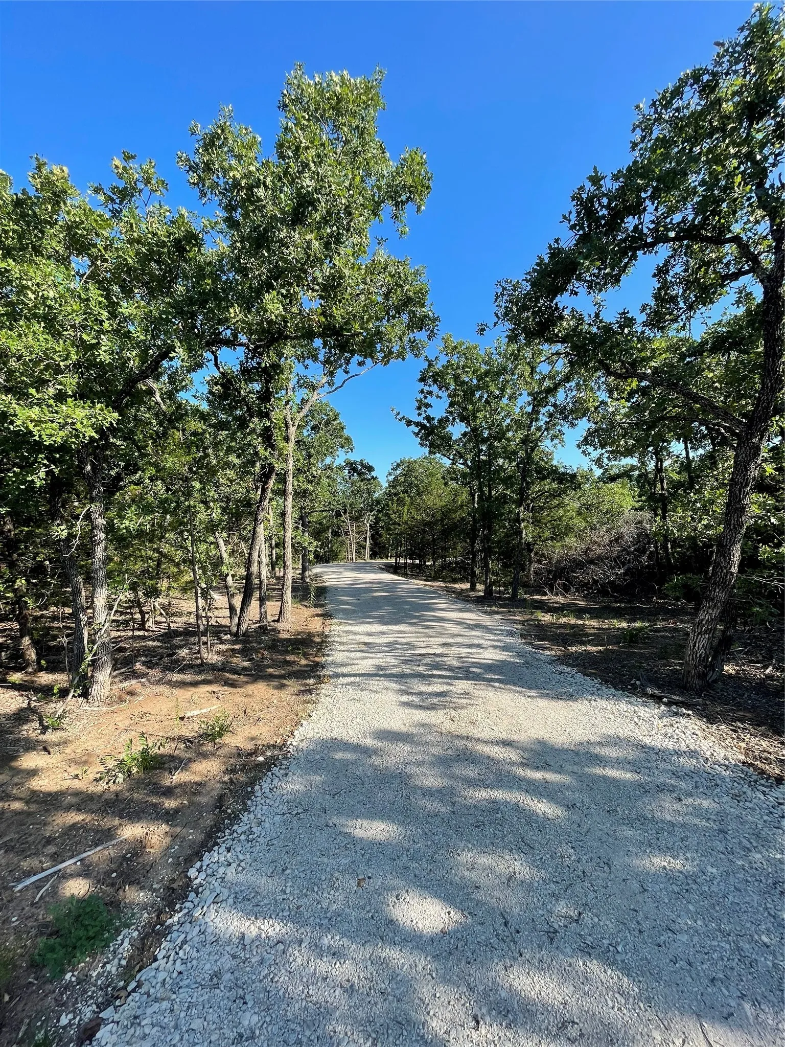 Unimproved Land For Sale in Cooke County , 208 Red Top Road, Valley View, Texas 76272, 0, 0, Garage spaces, 0 Sqft, built in 0, mls#20679247, Real Estate Agent in Valley View, Homes For Sale in Cooke county, Homes For Sale in Valley View, Realtor in Valley View Texas, Real Estate Brokerage Independent Realty Texas, Luminita Cordes Realtor