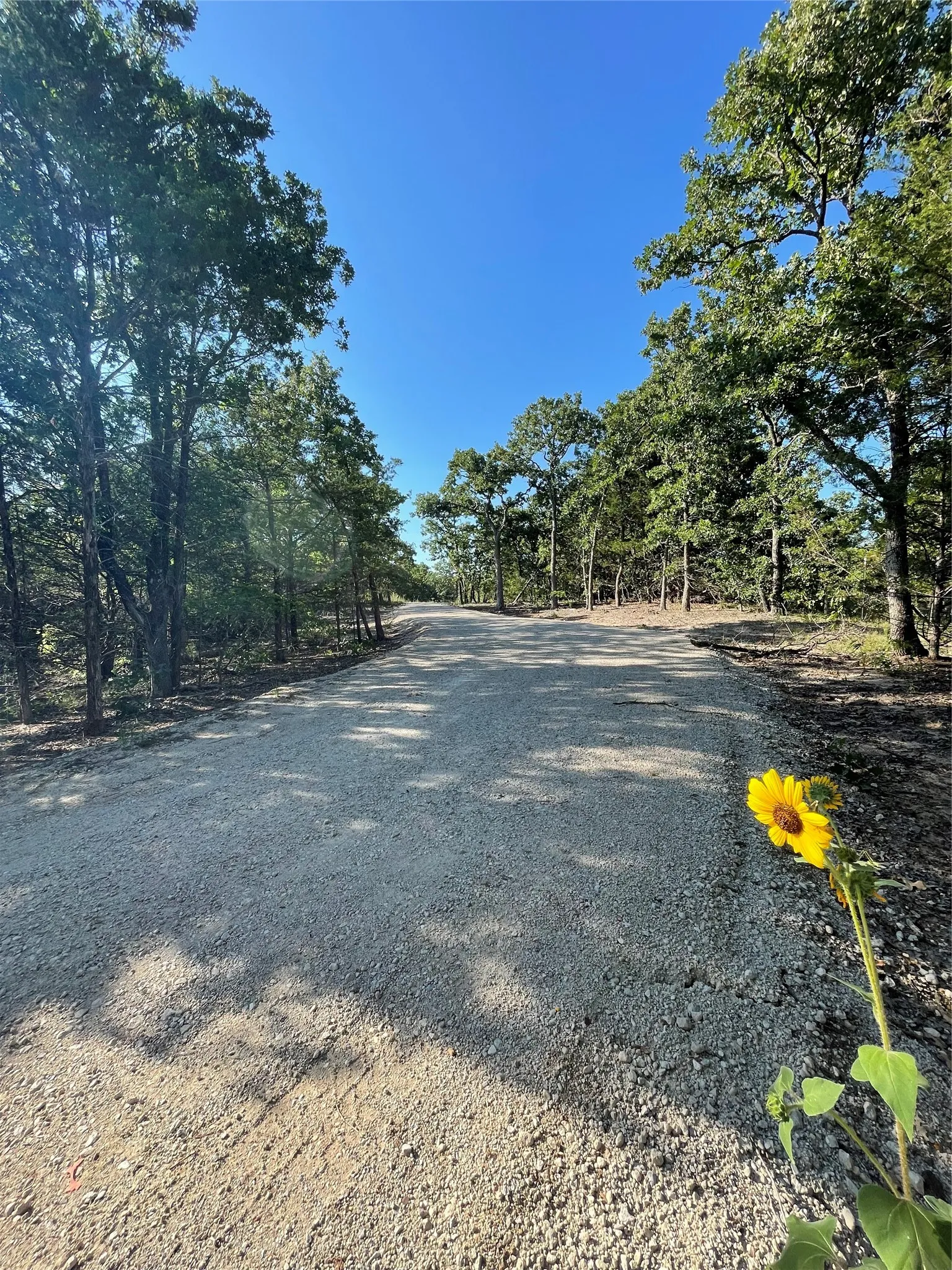 Unimproved Land For Sale in Cooke County , 208 Red Top Road, Valley View, Texas 76272, 0, 0, Garage spaces, 0 Sqft, built in 0, mls#20679247, Real Estate Agent in Valley View, Homes For Sale in Cooke county, Homes For Sale in Valley View, Realtor in Valley View Texas, Real Estate Brokerage Independent Realty Texas, Luminita Cordes Realtor