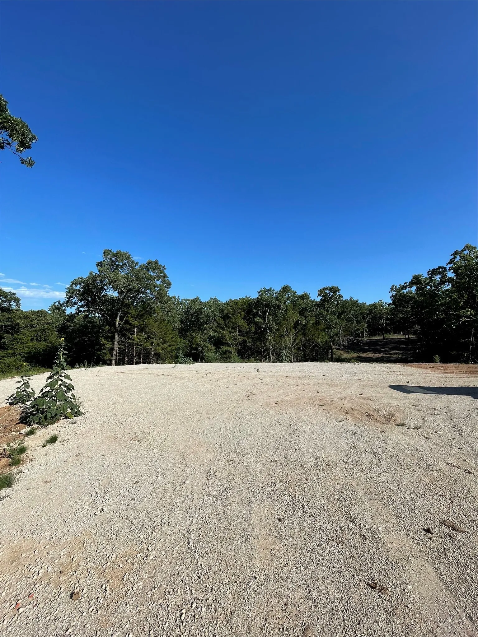 Unimproved Land For Sale in Cooke County , 208 Red Top Road, Valley View, Texas 76272, 0, 0, Garage spaces, 0 Sqft, built in 0, mls#20679247, Real Estate Agent in Valley View, Homes For Sale in Cooke county, Homes For Sale in Valley View, Realtor in Valley View Texas, Real Estate Brokerage Independent Realty Texas, Luminita Cordes Realtor