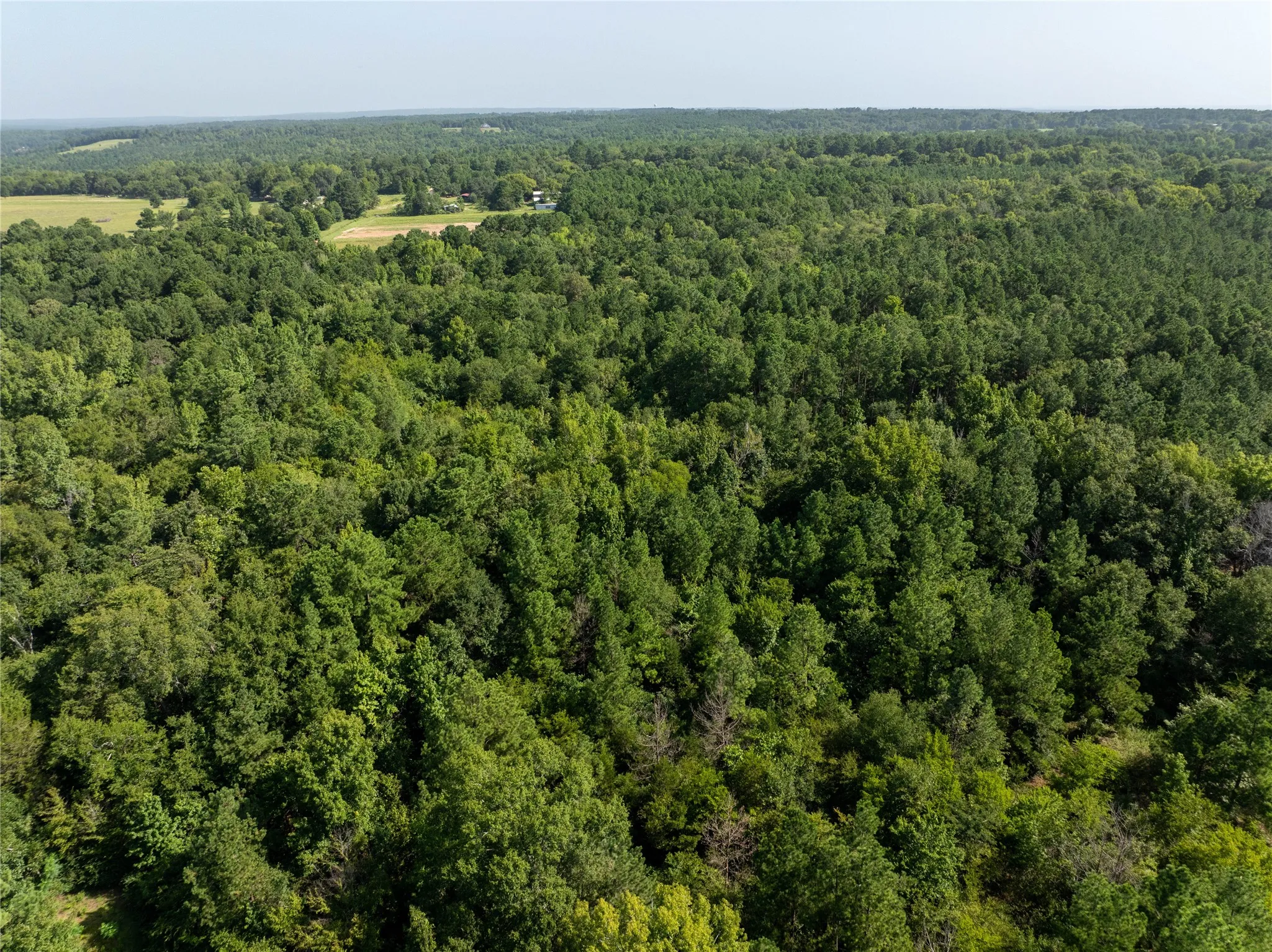 Unimproved Land For Sale in Cherokee County , Tract 1 County Road 1713, Jacksonville, Texas 75766, 0, 0, Garage spaces, 0 Sqft, built in 0, mls#20682634, Real Estate Agent in Jacksonville, Homes For Sale in Cherokee county, Homes For Sale in Jacksonville, Realtor in Jacksonville Texas, Real Estate Brokerage Independent Realty Texas, Luminita Cordes Realtor