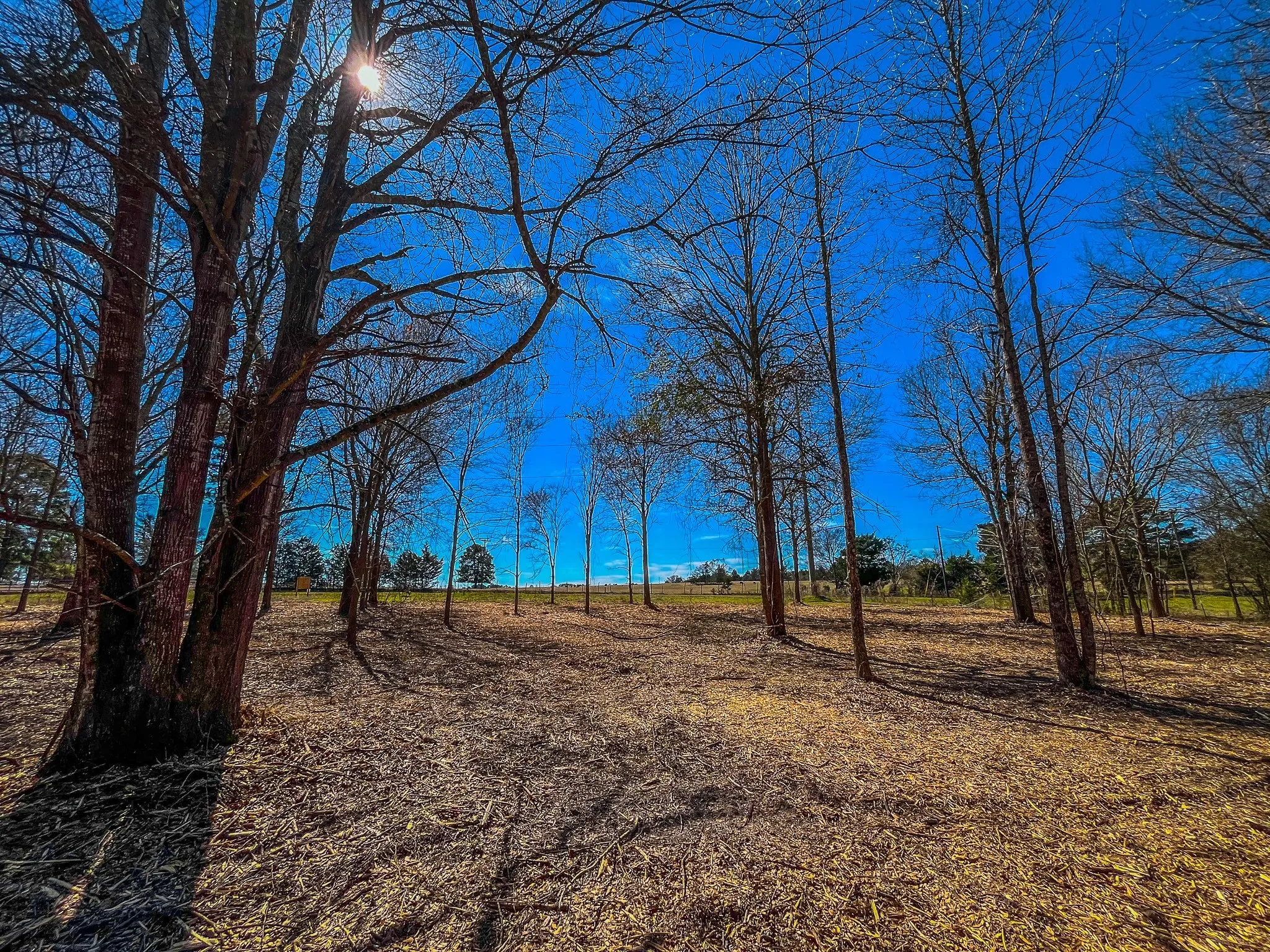Unimproved Land For Sale in Cherokee County , Tract 1 County Road 1713, Jacksonville, Texas 75766, 0, 0, Garage spaces, 0 Sqft, built in 0, mls#20682634, Real Estate Agent in Jacksonville, Homes For Sale in Cherokee county, Homes For Sale in Jacksonville, Realtor in Jacksonville Texas, Real Estate Brokerage Independent Realty Texas, Luminita Cordes Realtor