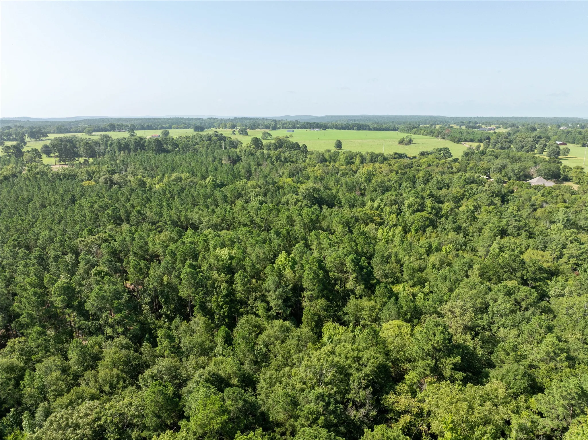 Unimproved Land For Sale in Cherokee County , Tract 2 County Road 1713, Jacksonville, Texas 75766, 0, 0, Garage spaces, 0 Sqft, built in 0, mls#20682729, Real Estate Agent in Jacksonville, Homes For Sale in Cherokee county, Homes For Sale in Jacksonville, Realtor in Jacksonville Texas, Real Estate Brokerage Independent Realty Texas, Luminita Cordes Realtor