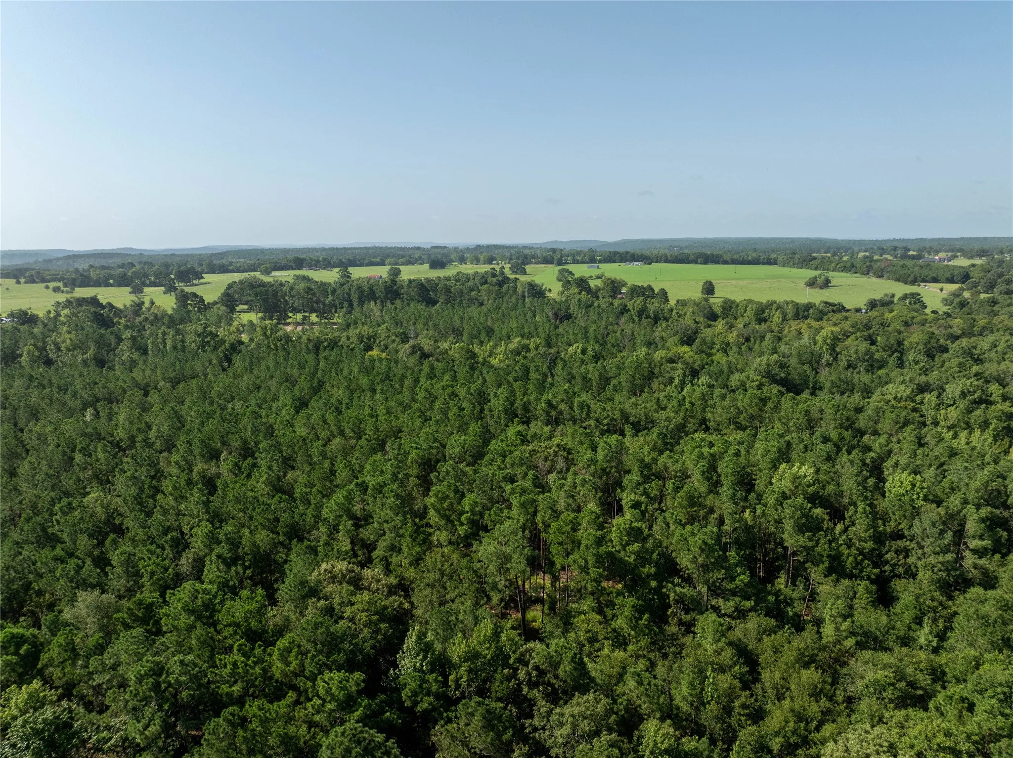 Unimproved Land For Sale in Cherokee County , Tract 2 County Road 1713, Jacksonville, Texas 75766, 0, 0, Garage spaces, 0 Sqft, built in 0, mls#20682729, Real Estate Agent in Jacksonville, Homes For Sale in Cherokee county, Homes For Sale in Jacksonville, Realtor in Jacksonville Texas, Real Estate Brokerage Independent Realty Texas, Luminita Cordes Realtor