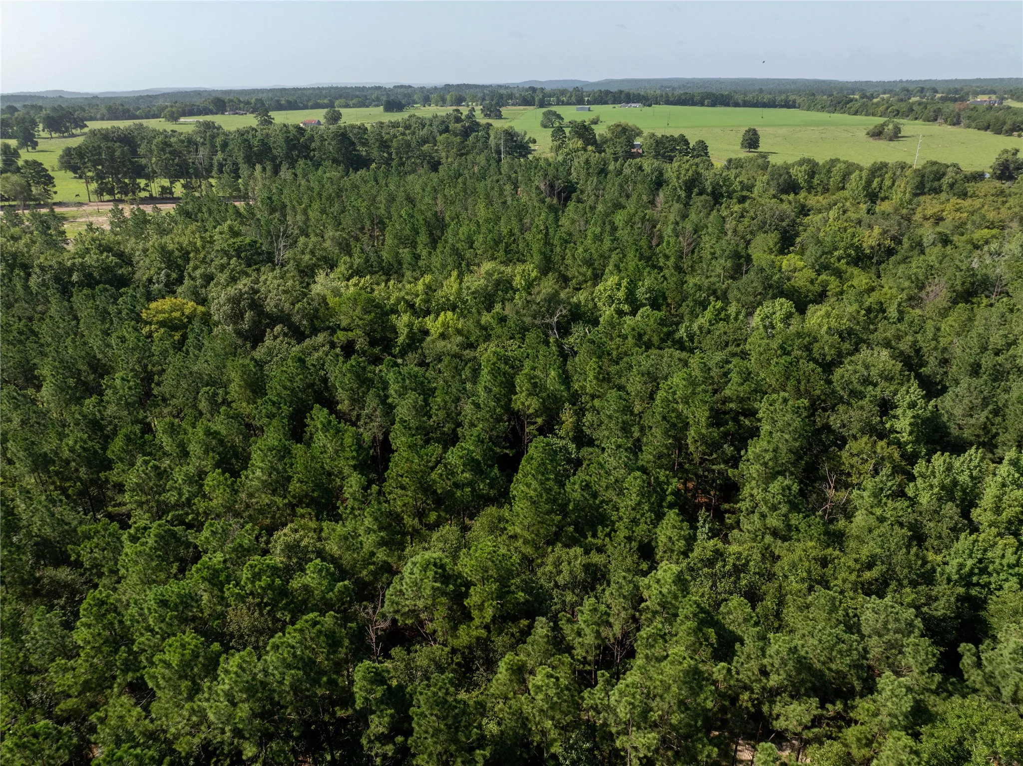 Unimproved Land For Sale in Cherokee County , Tract 2 County Road 1713, Jacksonville, Texas 75766, 0, 0, Garage spaces, 0 Sqft, built in 0, mls#20682729, Real Estate Agent in Jacksonville, Homes For Sale in Cherokee county, Homes For Sale in Jacksonville, Realtor in Jacksonville Texas, Real Estate Brokerage Independent Realty Texas, Luminita Cordes Realtor