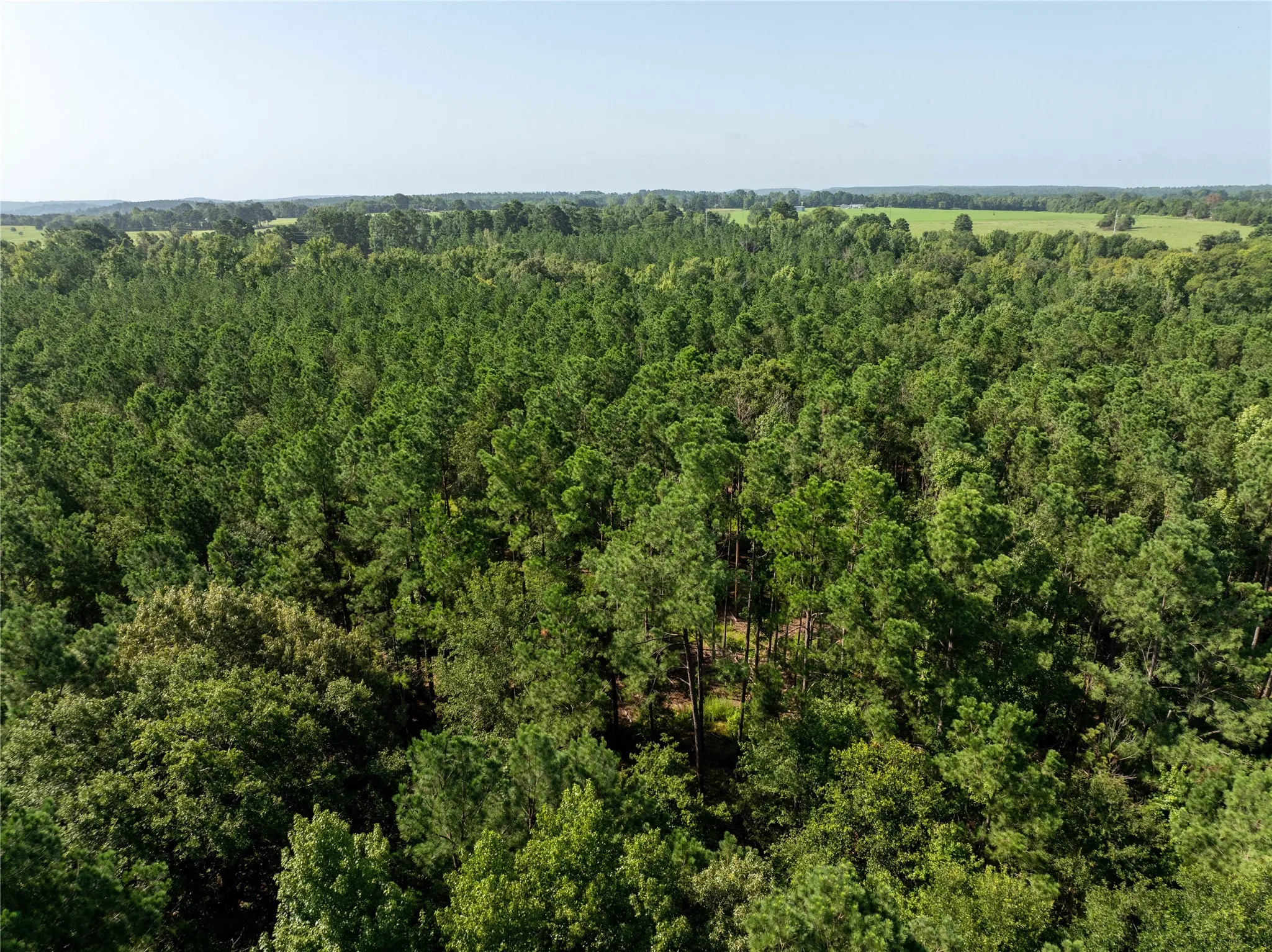 Unimproved Land For Sale in Cherokee County , Tract 2 County Road 1713, Jacksonville, Texas 75766, 0, 0, Garage spaces, 0 Sqft, built in 0, mls#20682729, Real Estate Agent in Jacksonville, Homes For Sale in Cherokee county, Homes For Sale in Jacksonville, Realtor in Jacksonville Texas, Real Estate Brokerage Independent Realty Texas, Luminita Cordes Realtor