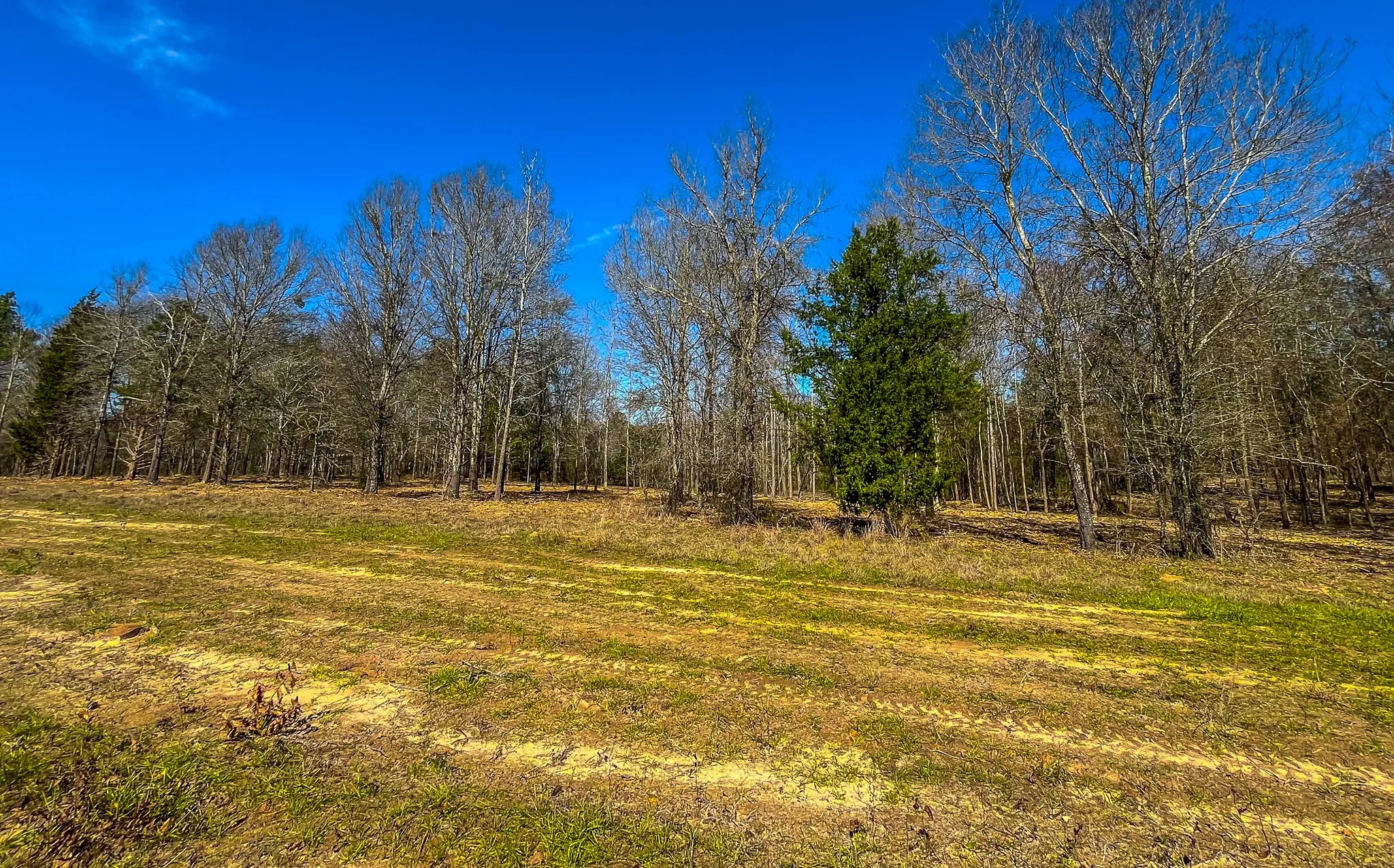 Unimproved Land For Sale in Cherokee County , Tract 2 County Road 1713, Jacksonville, Texas 75766, 0, 0, Garage spaces, 0 Sqft, built in 0, mls#20682729, Real Estate Agent in Jacksonville, Homes For Sale in Cherokee county, Homes For Sale in Jacksonville, Realtor in Jacksonville Texas, Real Estate Brokerage Independent Realty Texas, Luminita Cordes Realtor