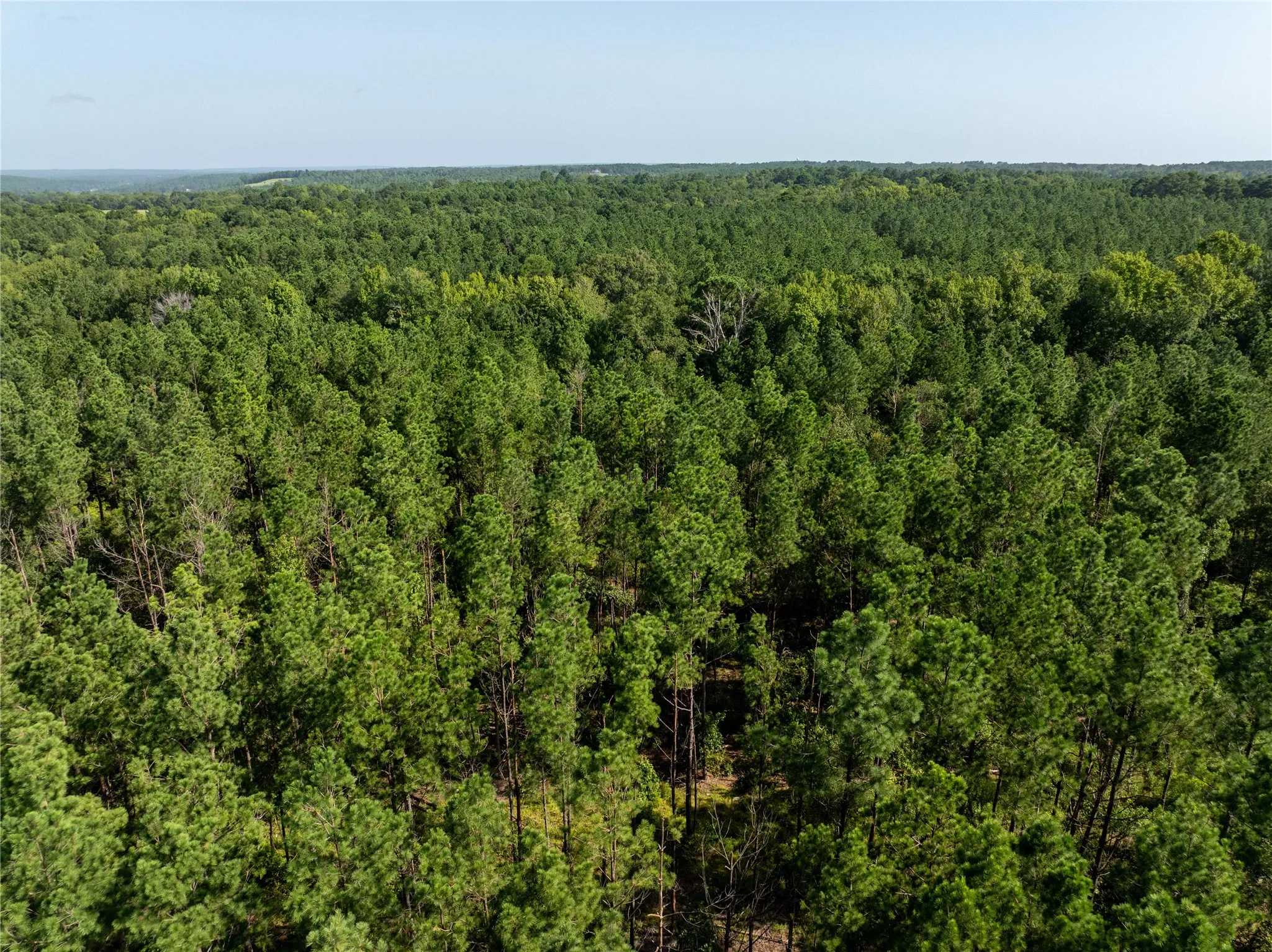 Unimproved Land For Sale in Cherokee County , Tract 3 County Road 1713, Jacksonville, Texas 75766, 0, 0, Garage spaces, 0 Sqft, built in 0, mls#20682827, Real Estate Agent in Jacksonville, Homes For Sale in Cherokee county, Homes For Sale in Jacksonville, Realtor in Jacksonville Texas, Real Estate Brokerage Independent Realty Texas, Luminita Cordes Realtor