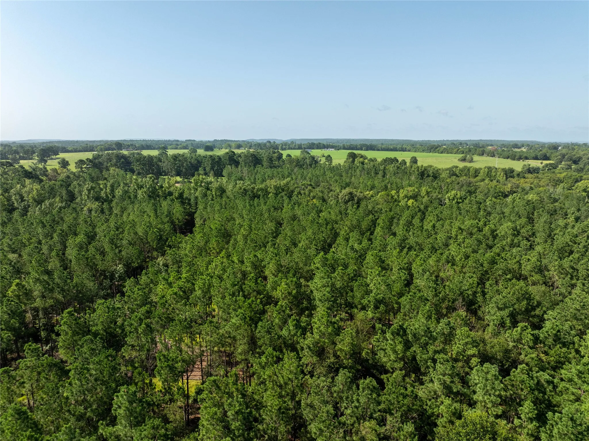 Unimproved Land For Sale in Cherokee County , Tract 3 County Road 1713, Jacksonville, Texas 75766, 0, 0, Garage spaces, 0 Sqft, built in 0, mls#20682827, Real Estate Agent in Jacksonville, Homes For Sale in Cherokee county, Homes For Sale in Jacksonville, Realtor in Jacksonville Texas, Real Estate Brokerage Independent Realty Texas, Luminita Cordes Realtor